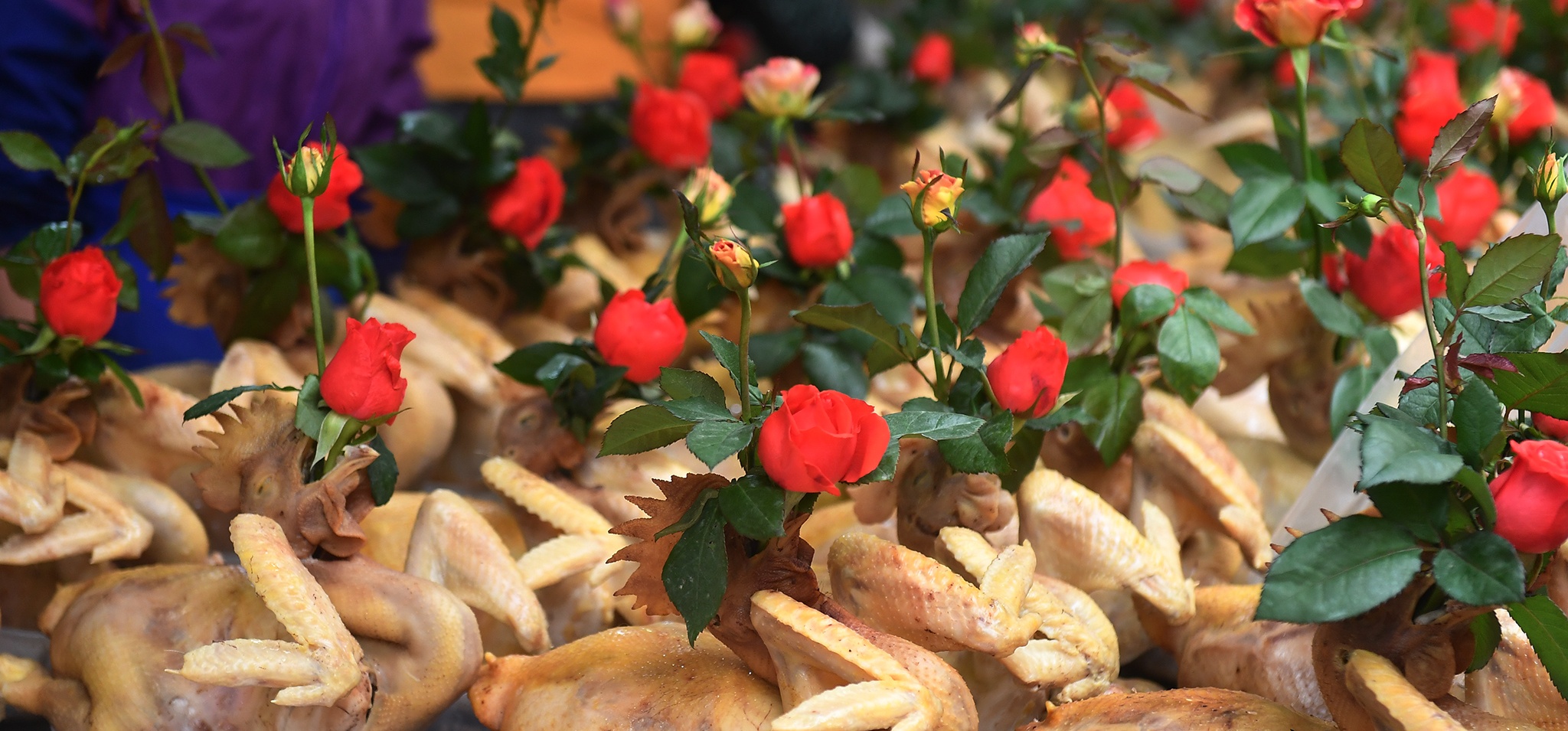 ga cung giao thua dat khach o Gia Ngu anh 3