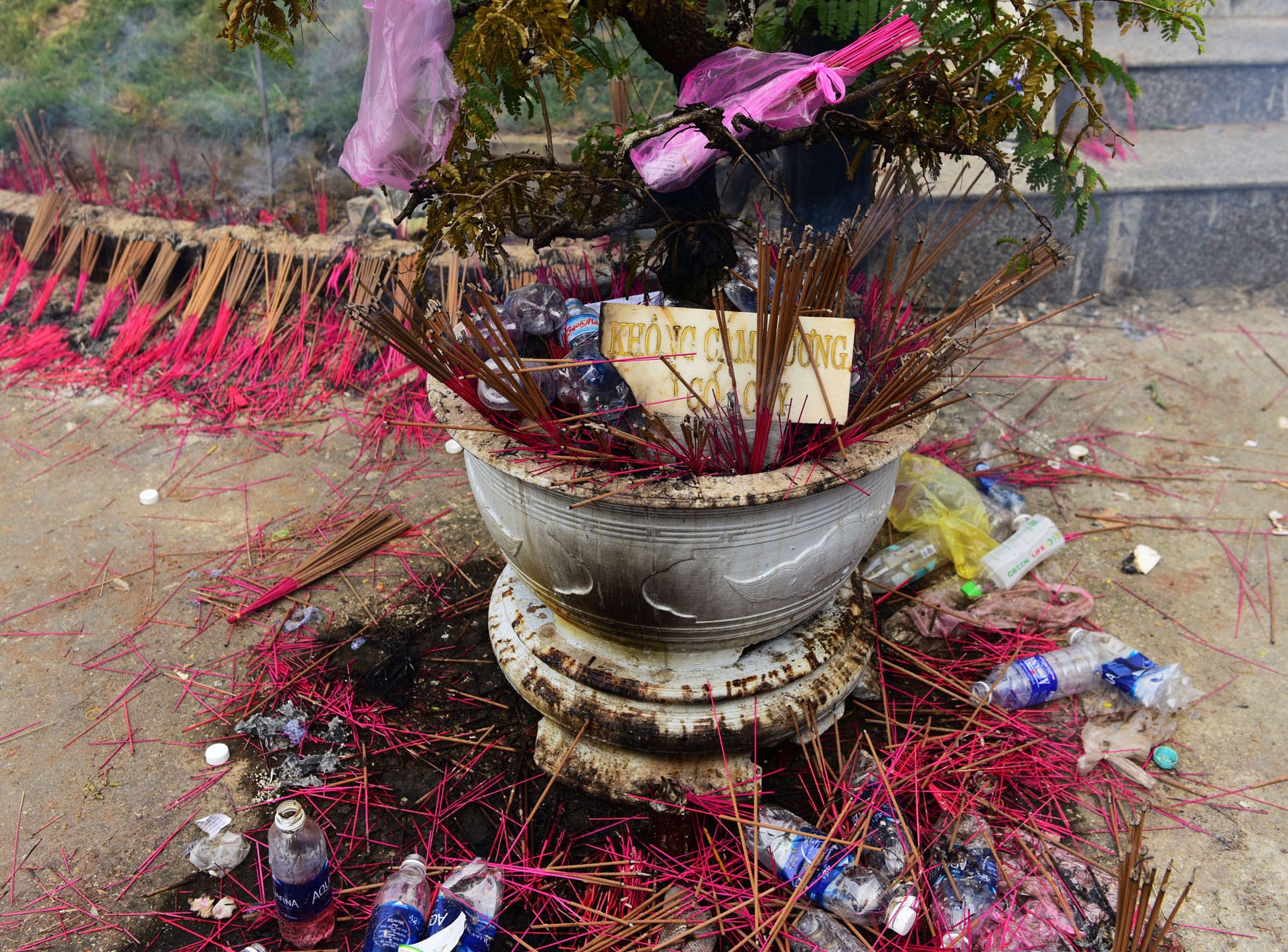 Đi lễ ngày Tết ảnh 8 Di le ngay Tet anh 8