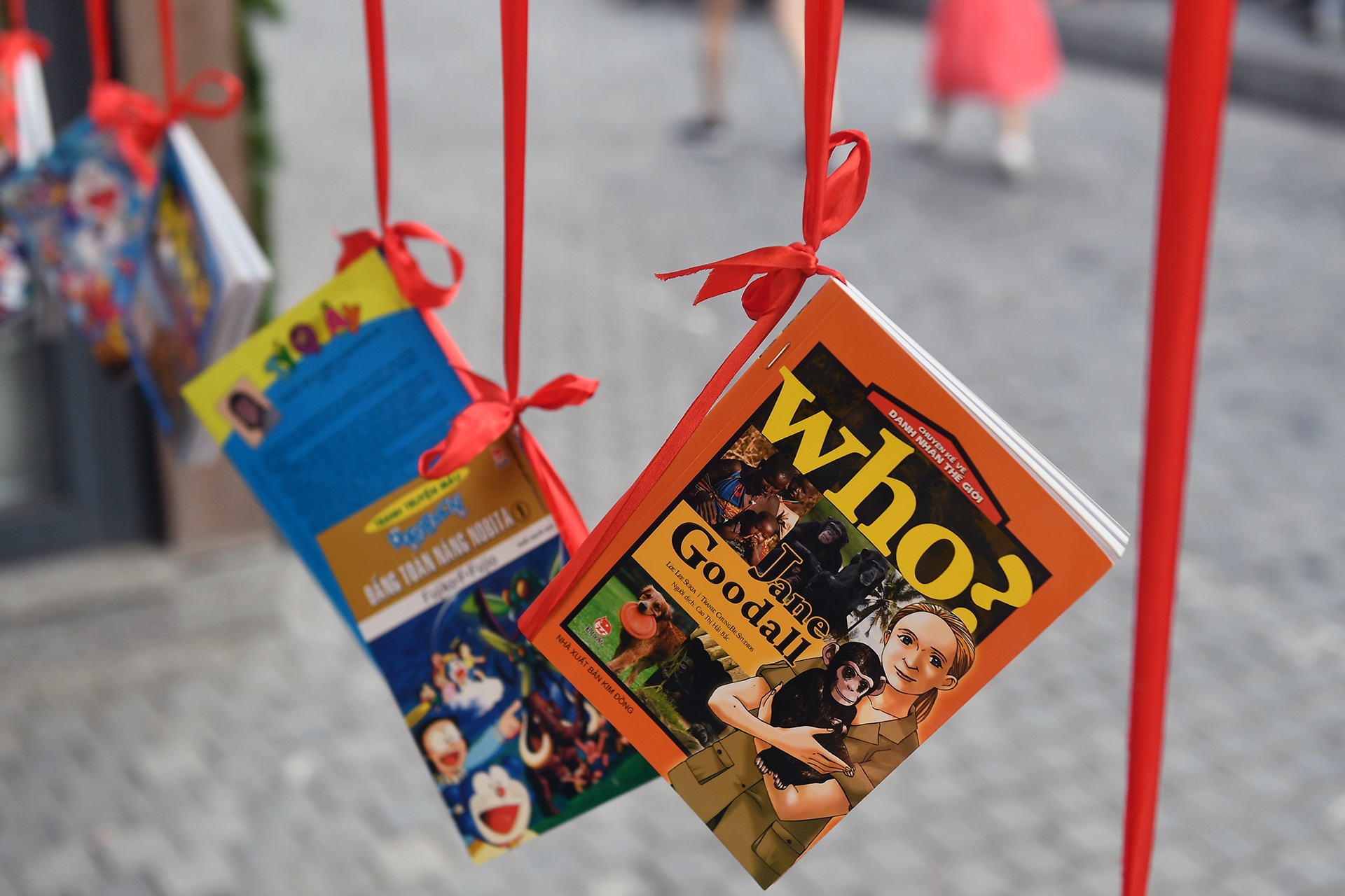 pho sach xuan Ha Noi 2019 anh 4