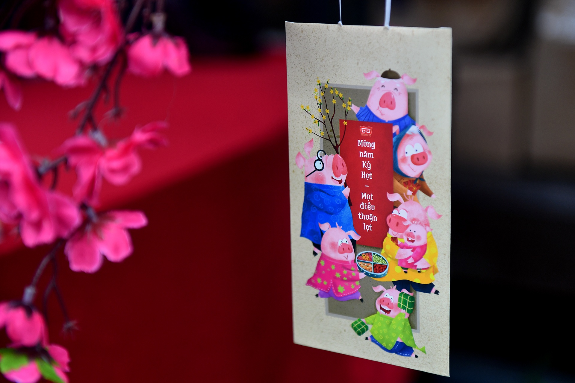 pho sach xuan Ha Noi 2019 anh 6