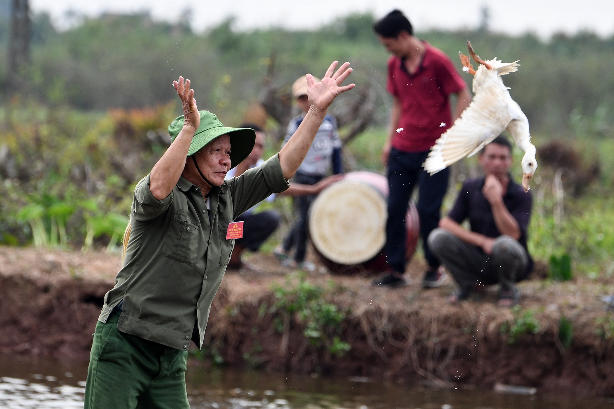 nau com bat vit tren thuyen o hoi Bach Hao anh 10
