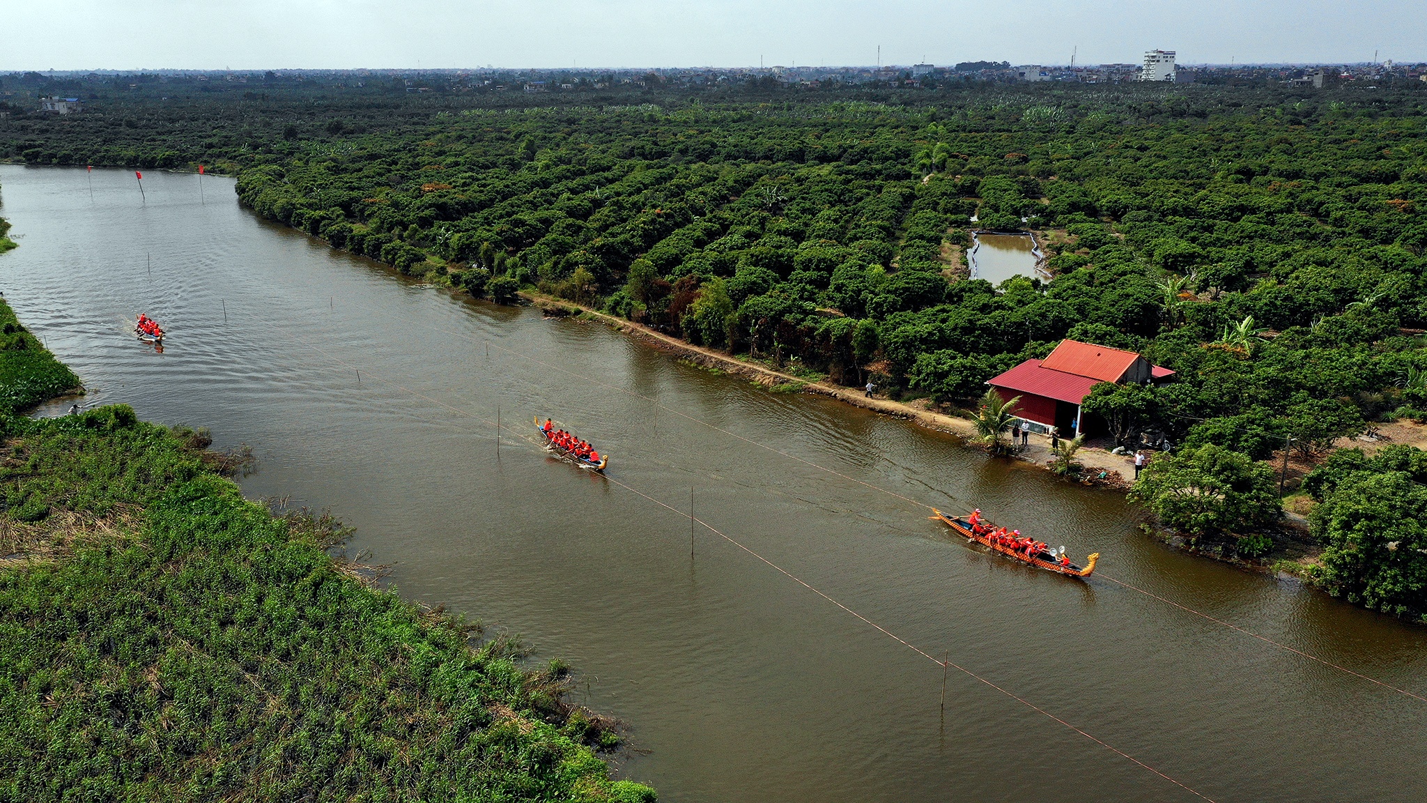 nau com bat vit tren thuyen o hoi Bach Hao anh 1
