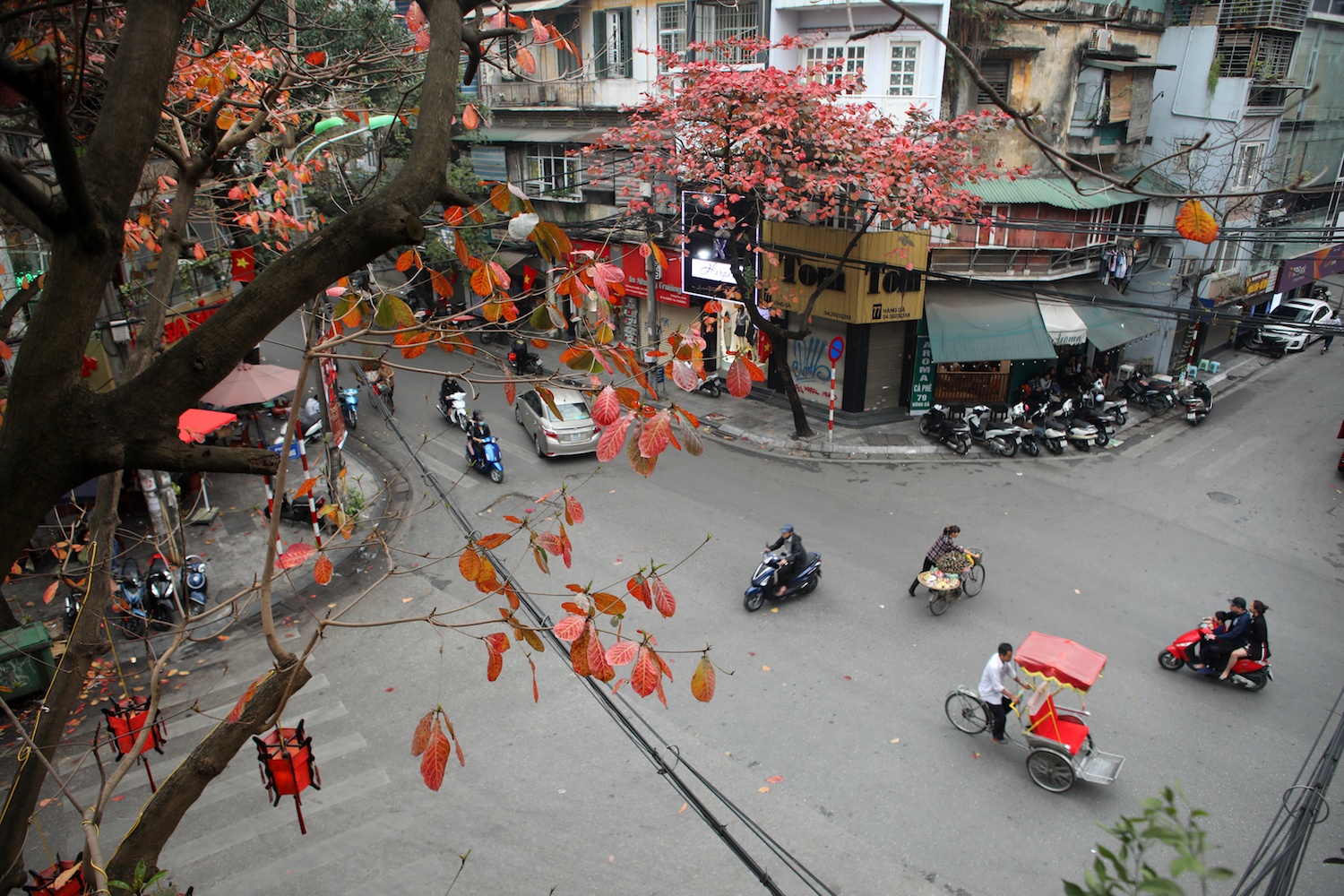 la vang dau xuan dam choi nay loc anh 2