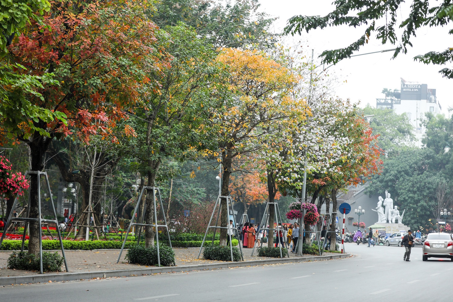 la vang dau xuan dam choi nay loc anh 7