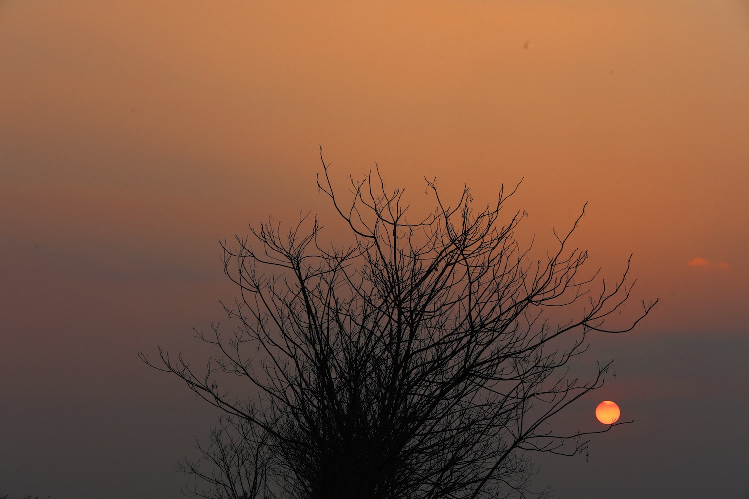 la vang dau xuan dam choi nay loc anh 22