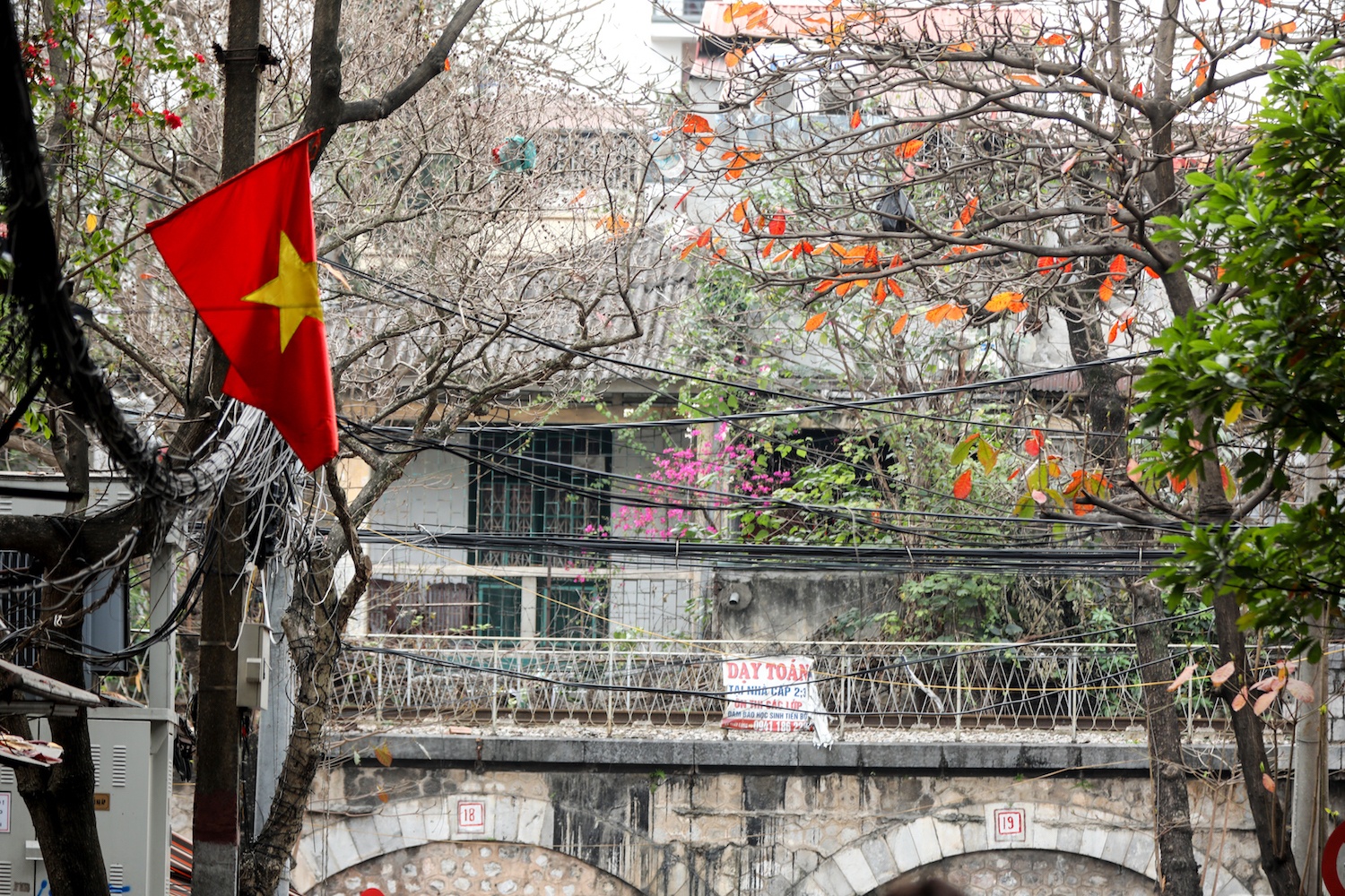 la vang dau xuan dam choi nay loc anh 17