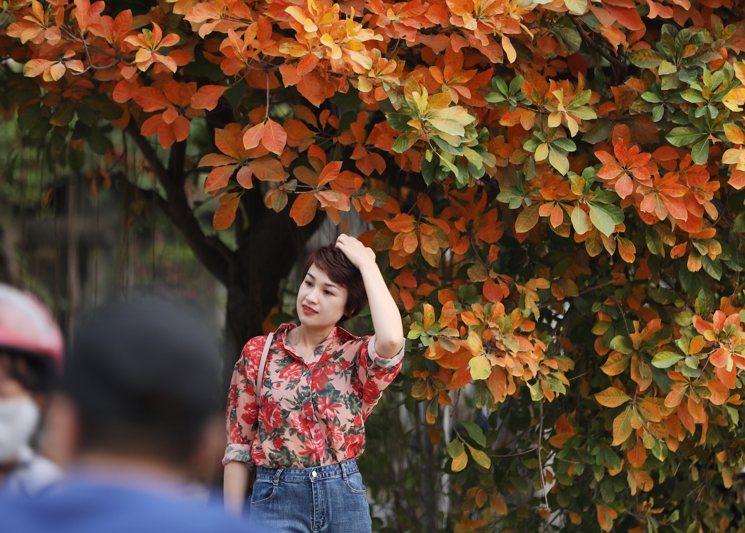 la vang dau xuan dam choi nay loc anh 20