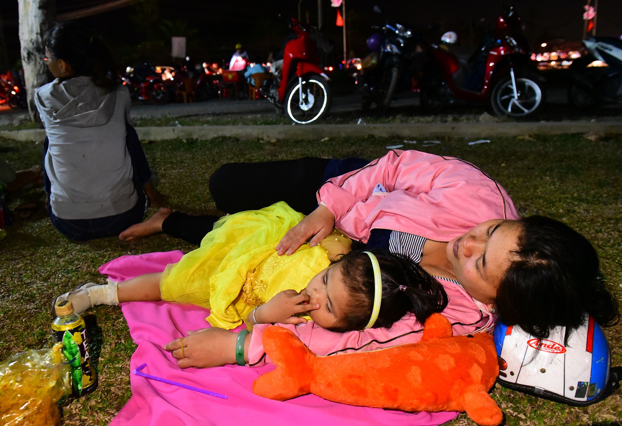 du xuan Tet Ky Hoi anh 15