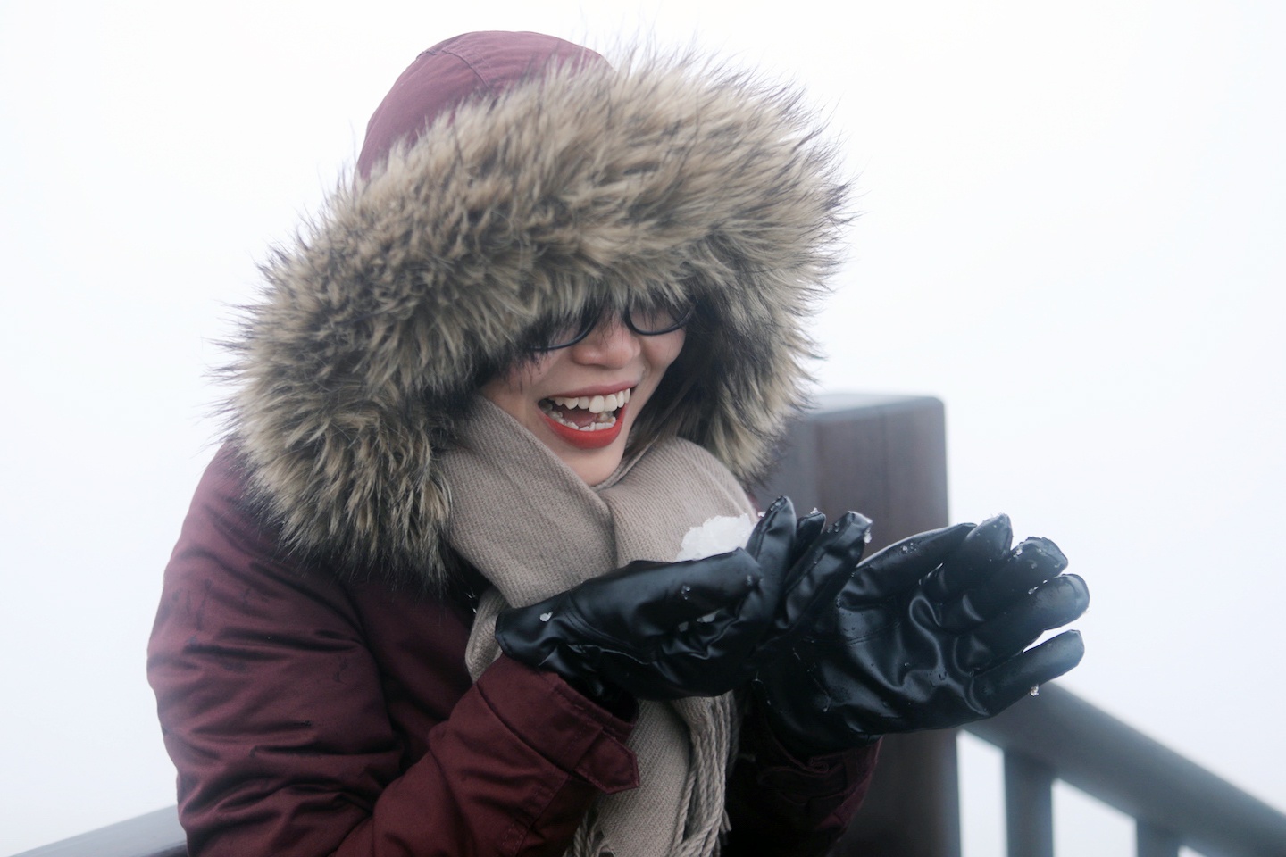 tuyet roi o Fansipan anh 7