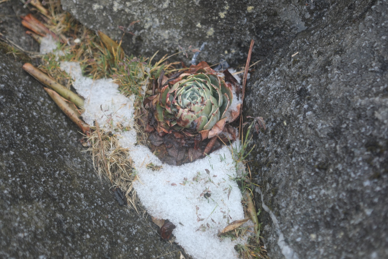 tuyet roi o dinh Fansipan anh 18