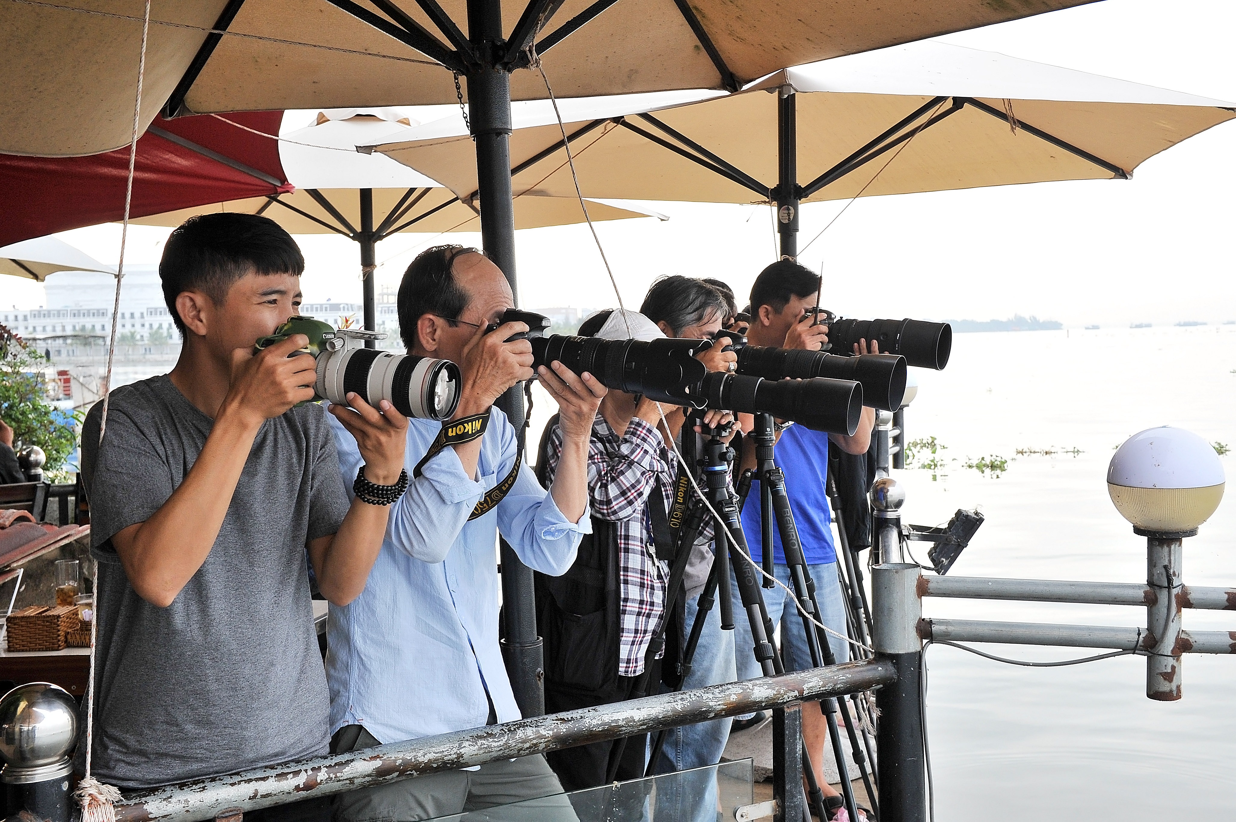 san chim o mien Tay anh 1