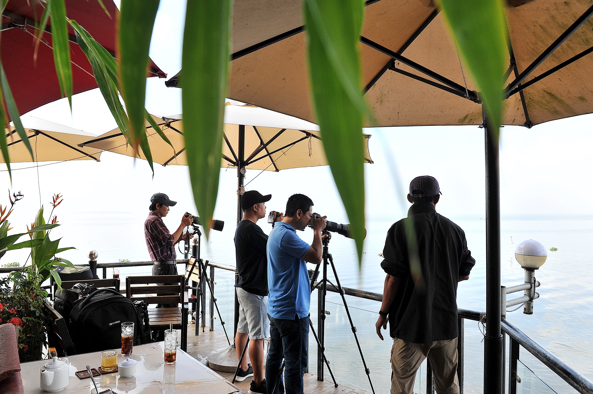 san chim o mien Tay anh 2