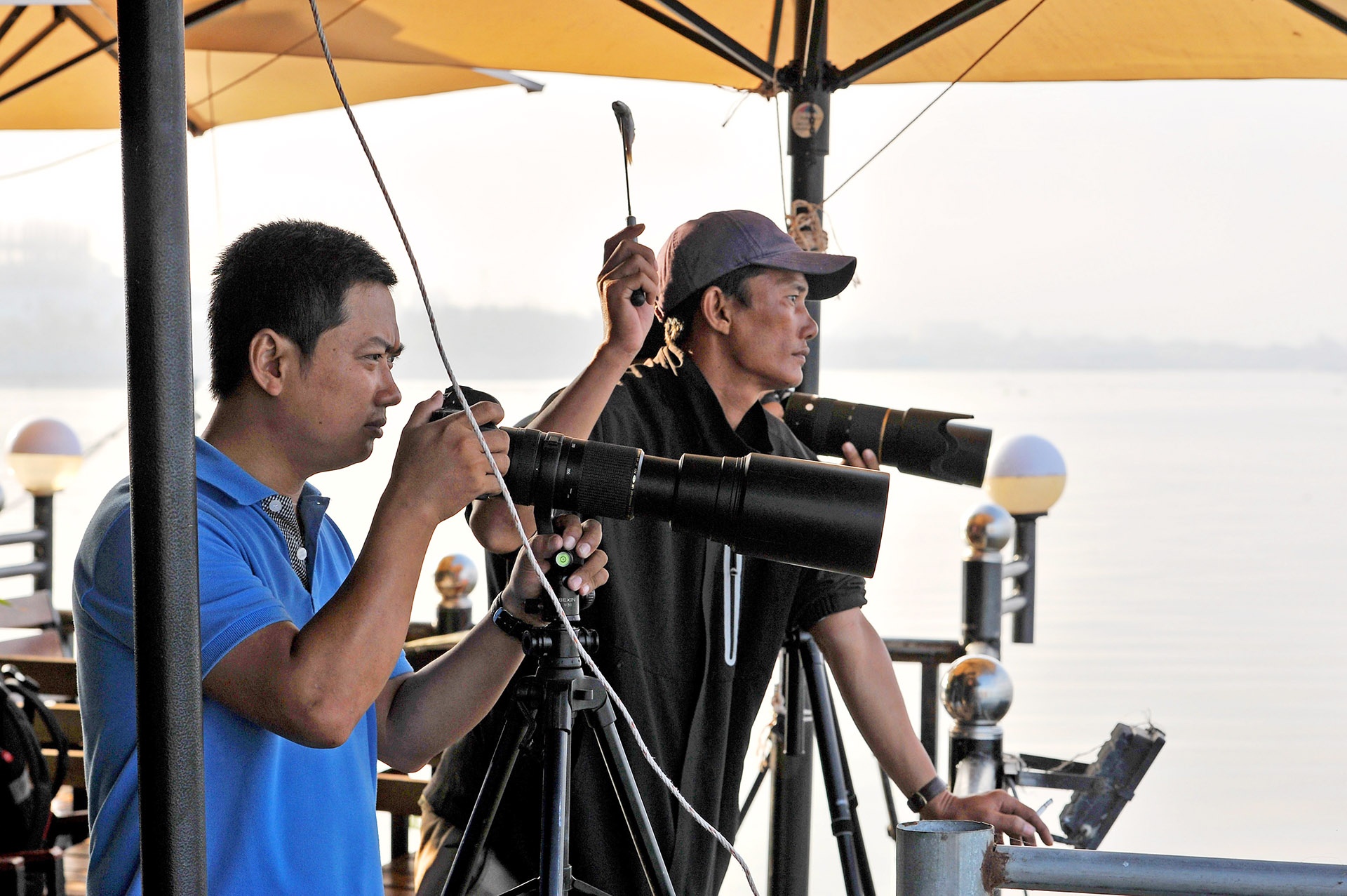 san chim o mien Tay anh 5