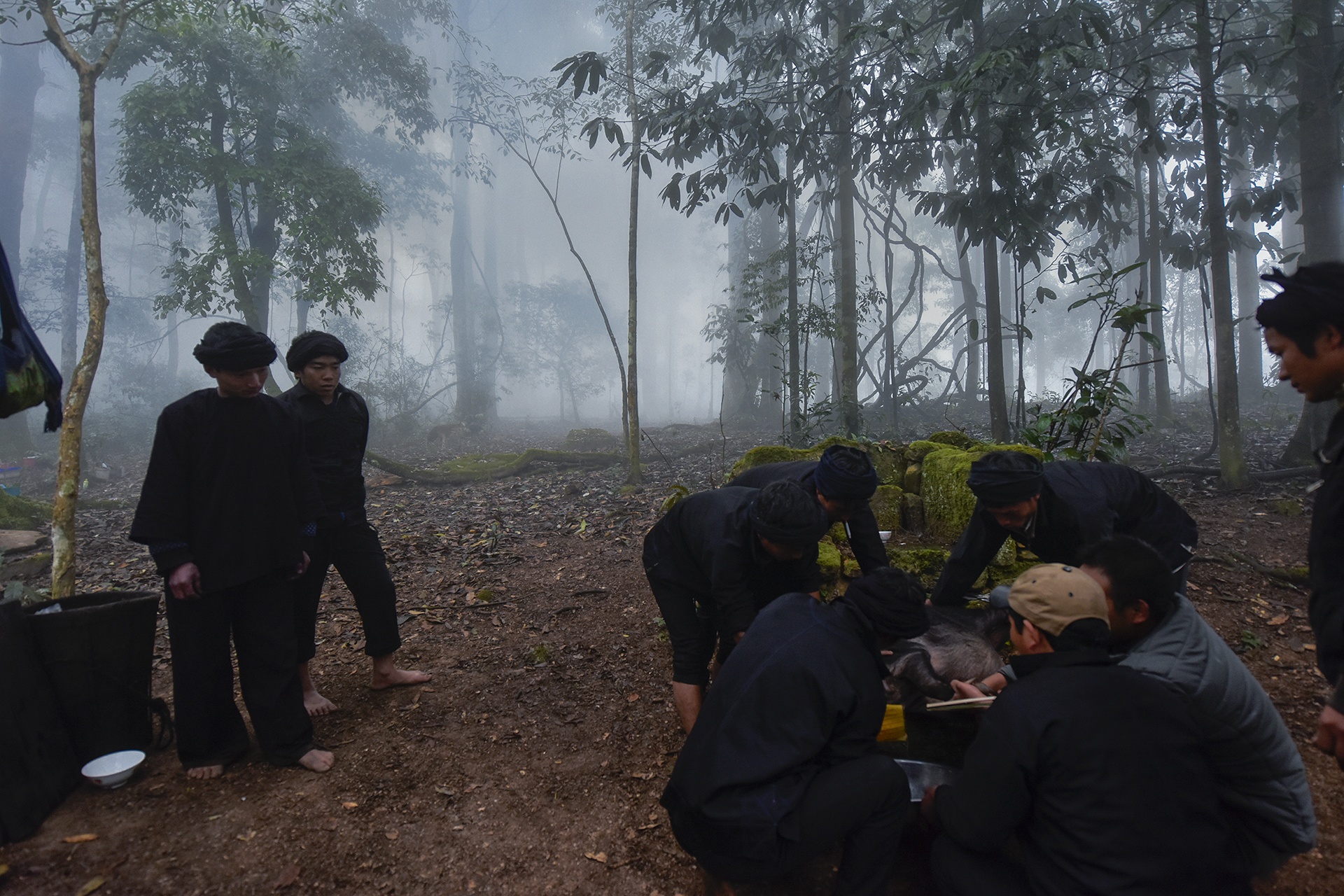 Le cung rung cua nguoi Ha Nhi anh 9