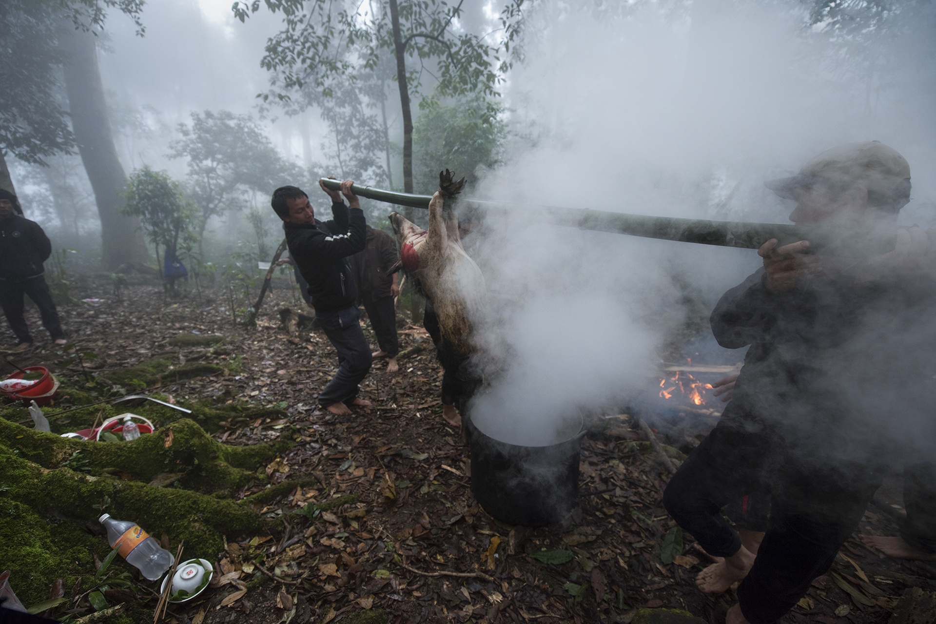 Le cung rung cua nguoi Ha Nhi anh 10