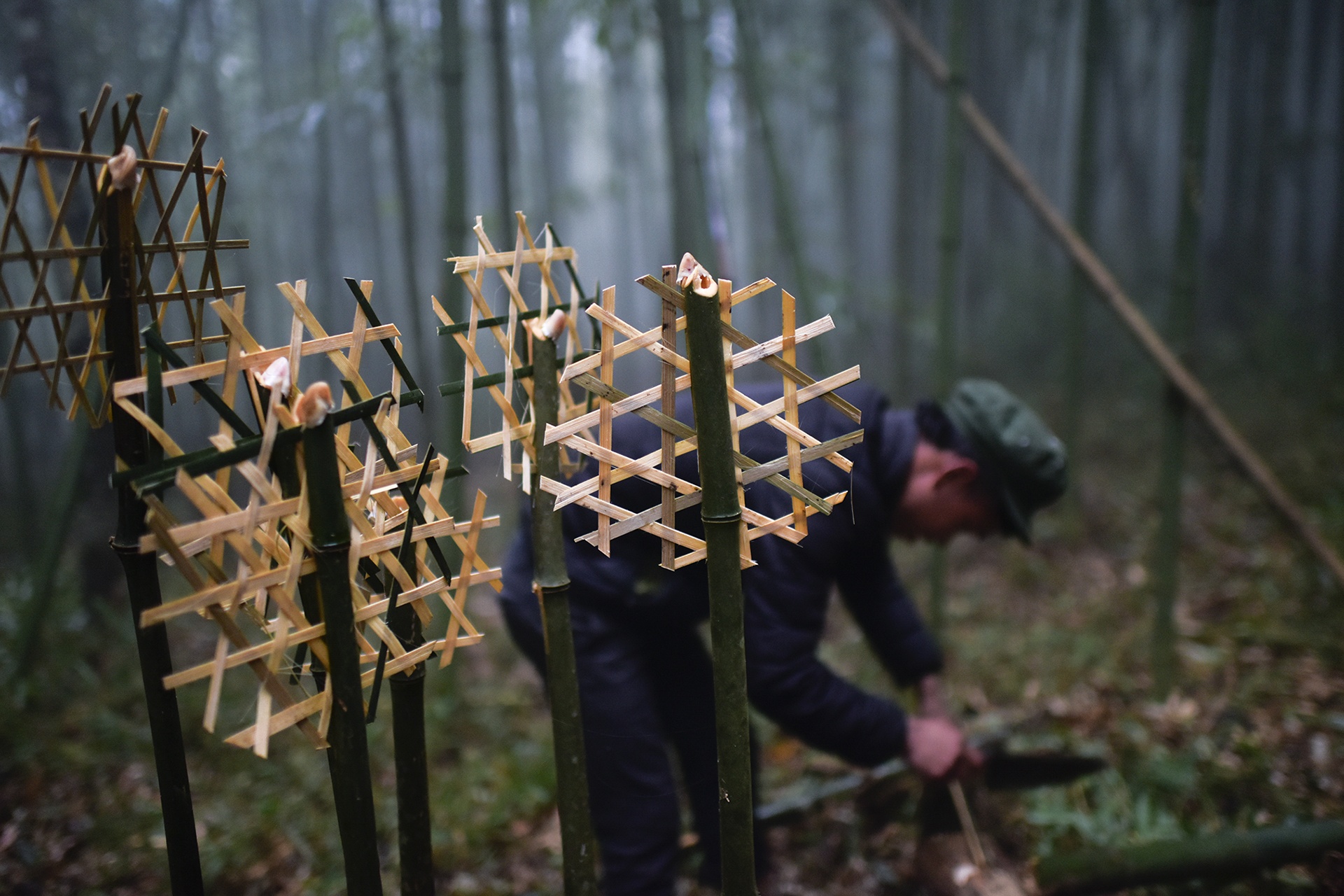 Le cung rung cua nguoi Ha Nhi anh 12