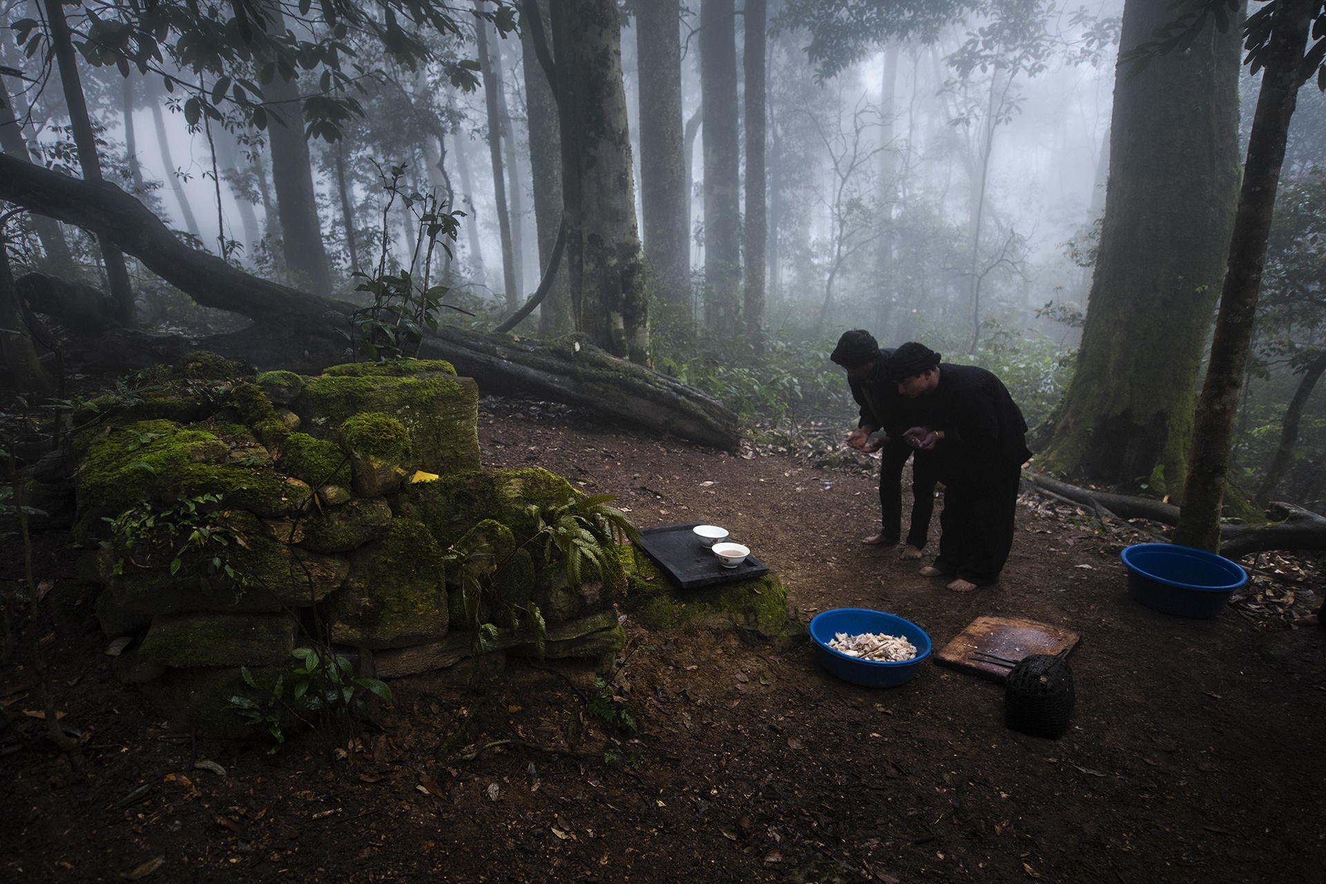 Le cung rung cua nguoi Ha Nhi anh 13