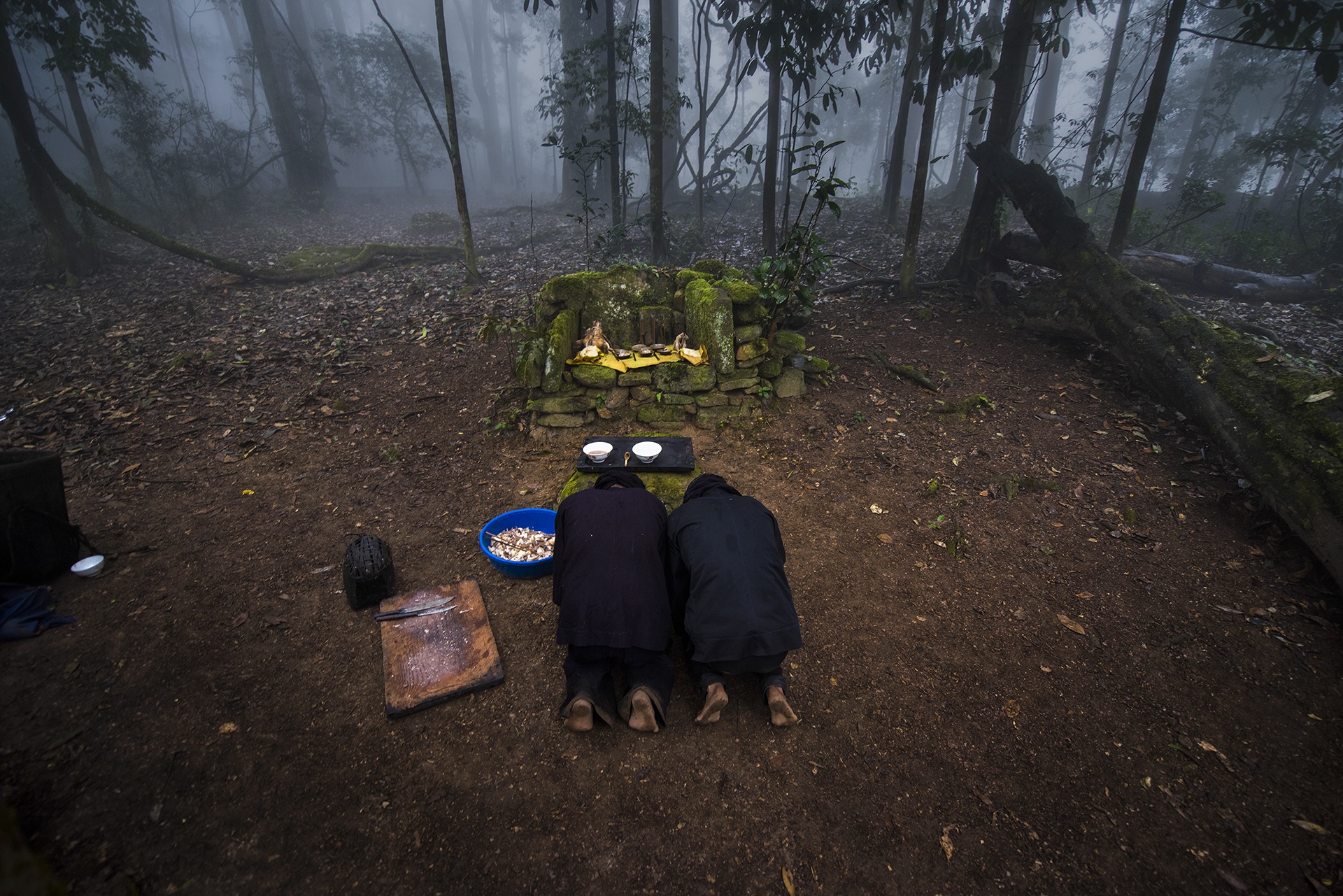 Le cung rung cua nguoi Ha Nhi anh 16