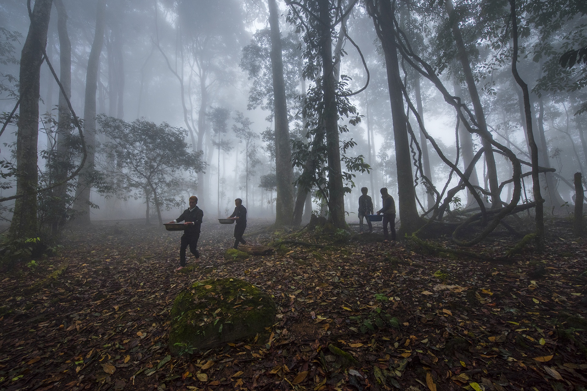 Le cung rung cua nguoi Ha Nhi anh 6