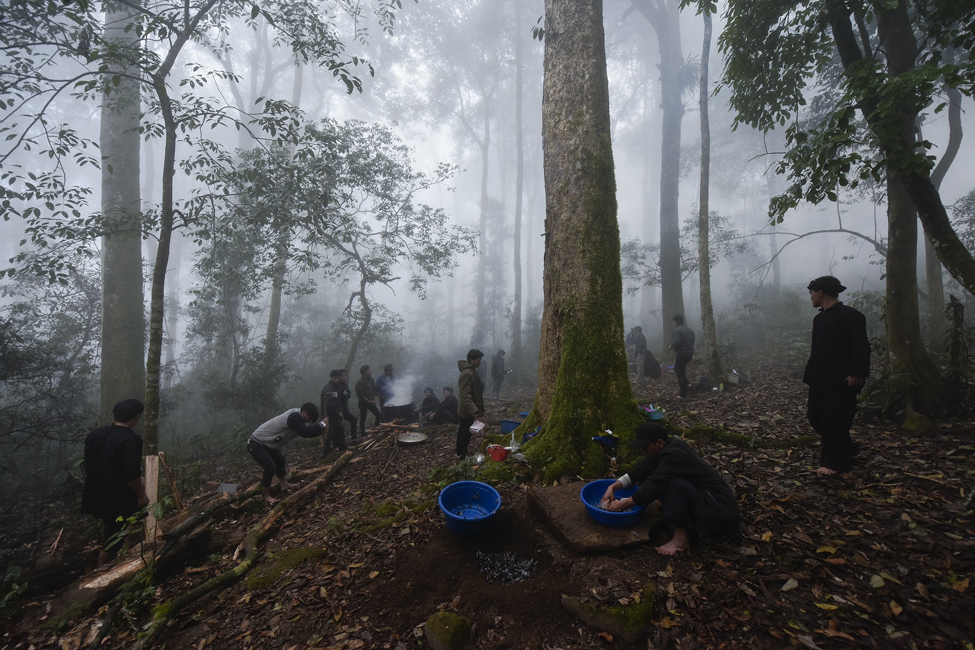 Le cung rung cua nguoi Ha Nhi anh 7