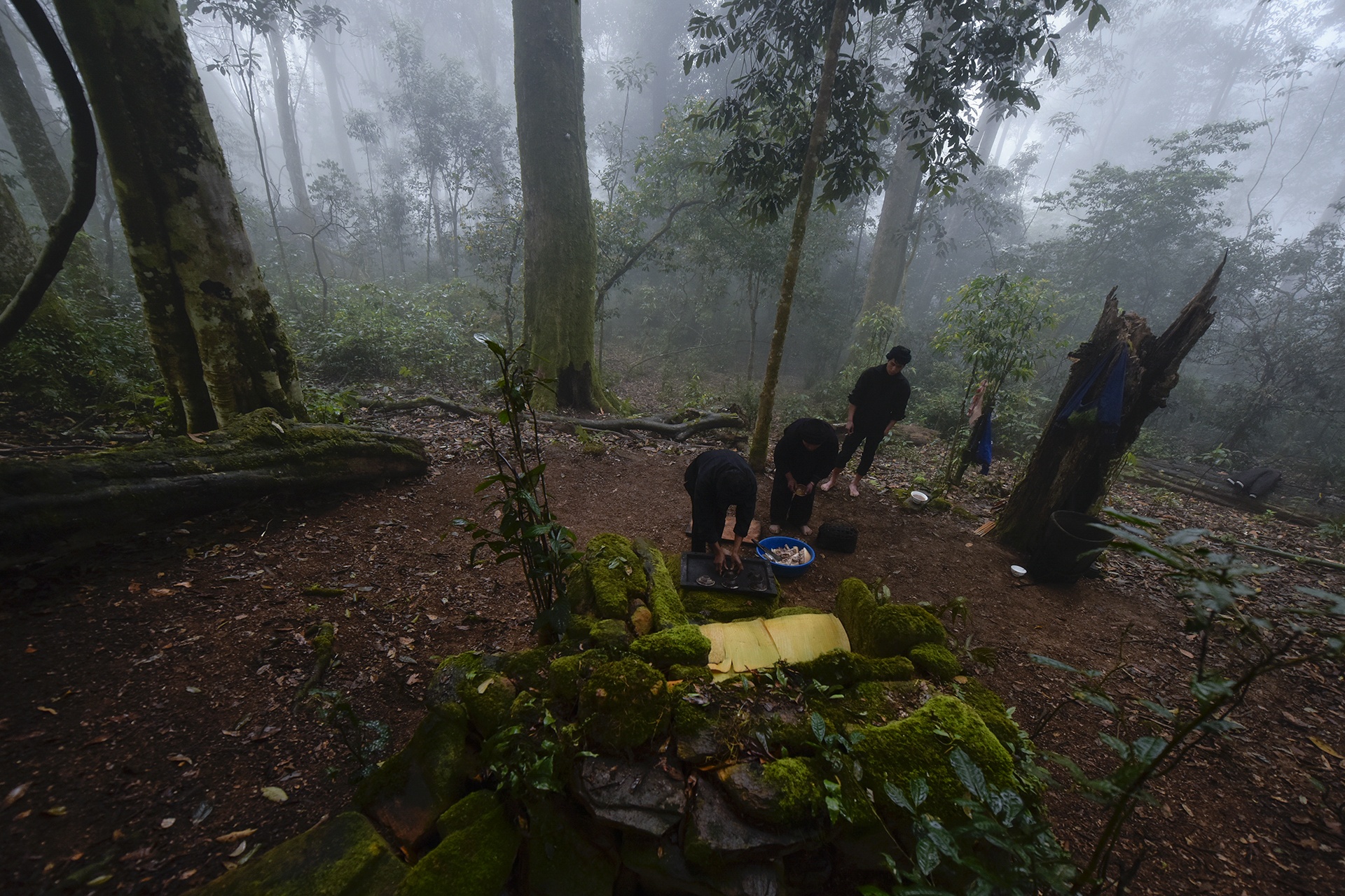 Le cung rung cua nguoi Ha Nhi anh 8