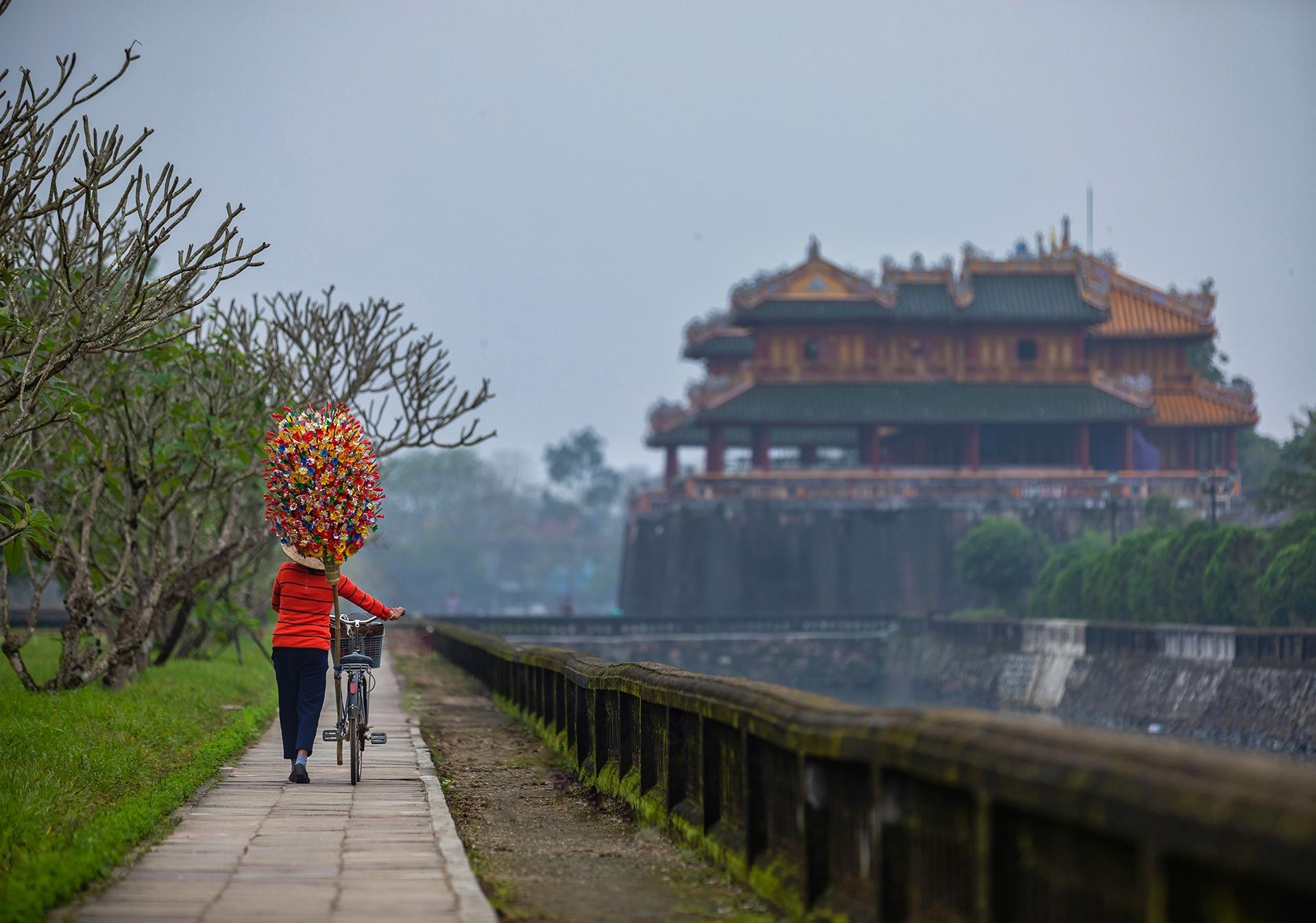 hoa giay Thanh Tien o Hue anh 1