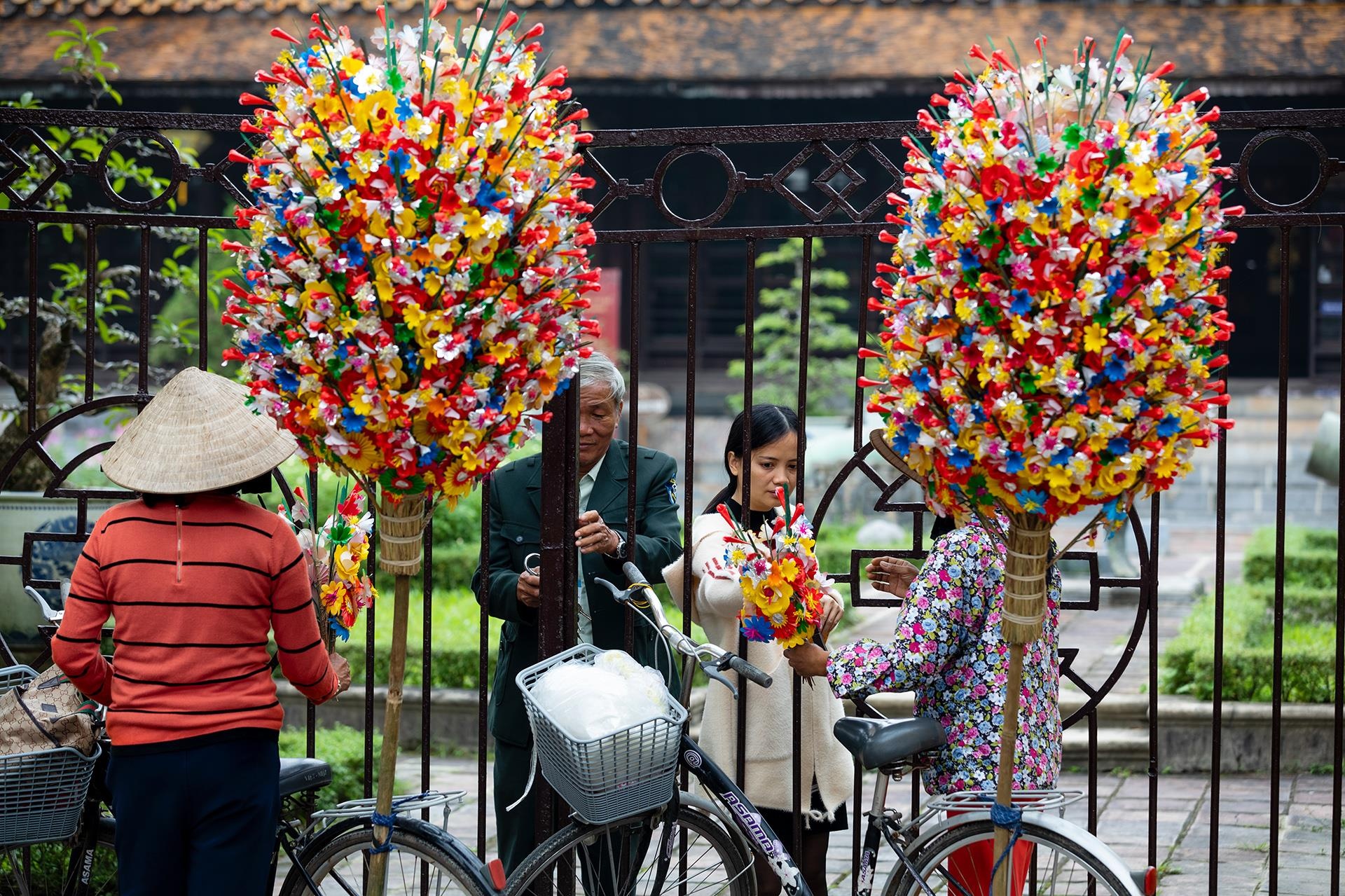 hoa giay Thanh Tien o Hue anh 2