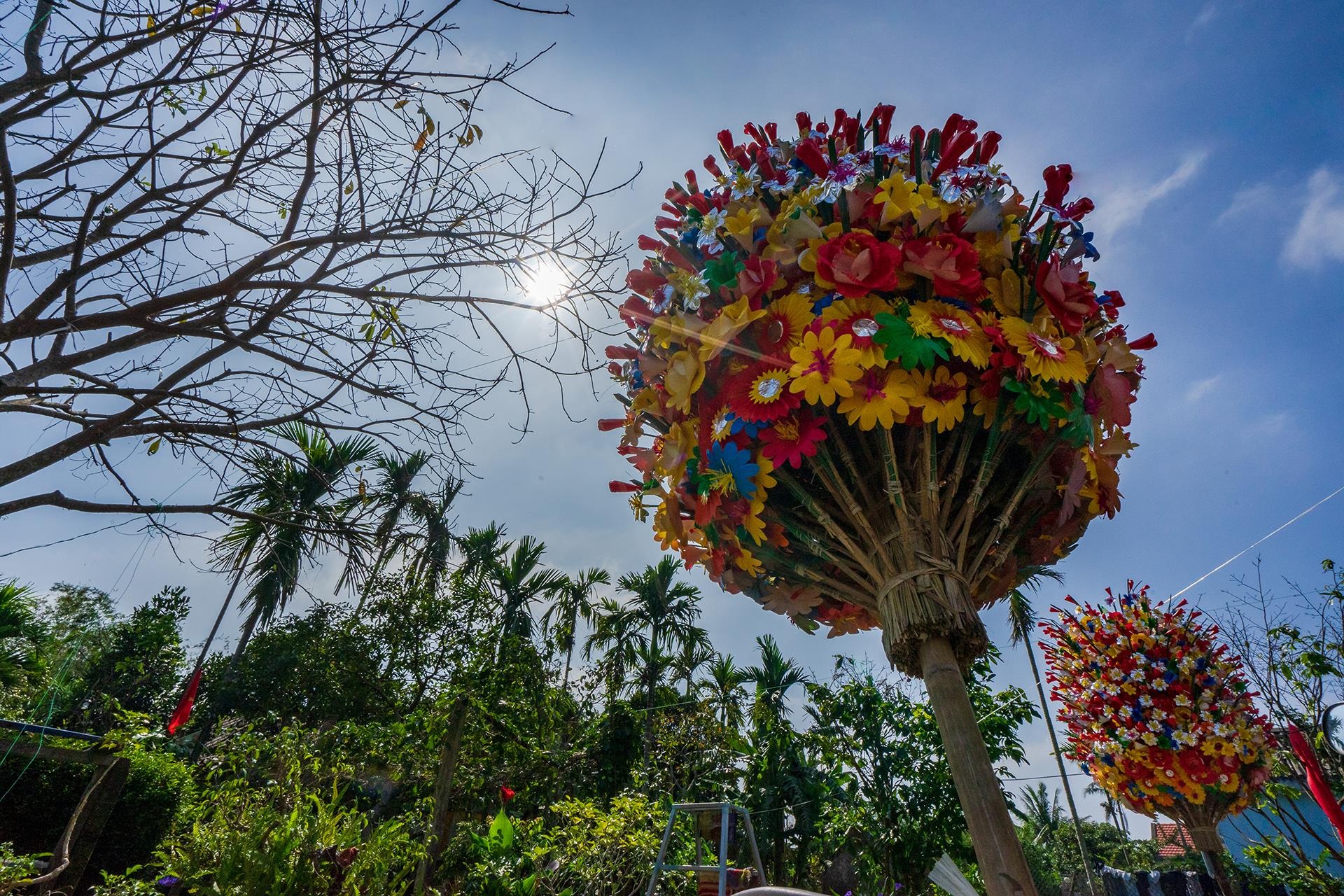 hoa giay Thanh Tien o Hue anh 9