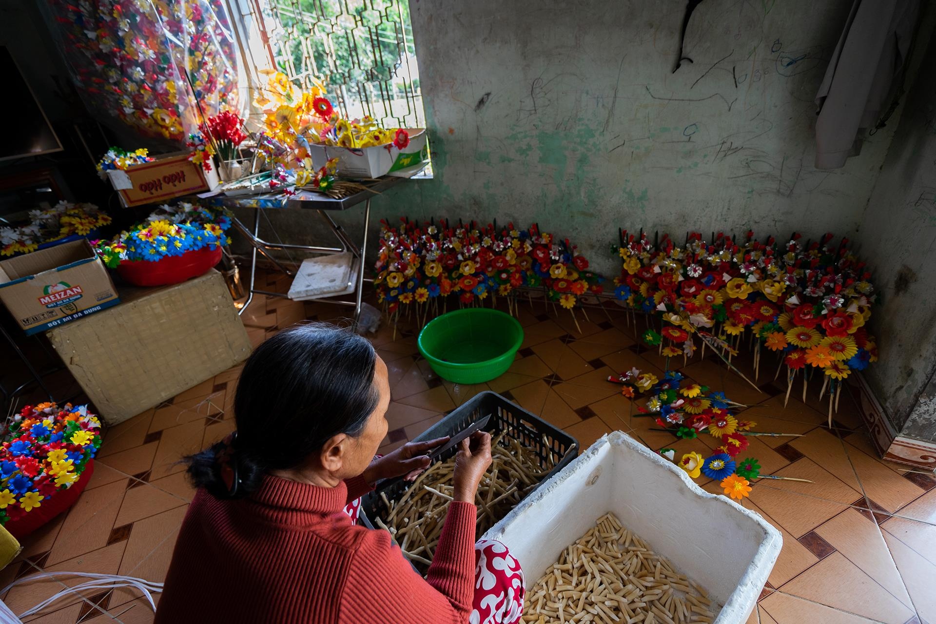 hoa giay Thanh Tien o Hue anh 10