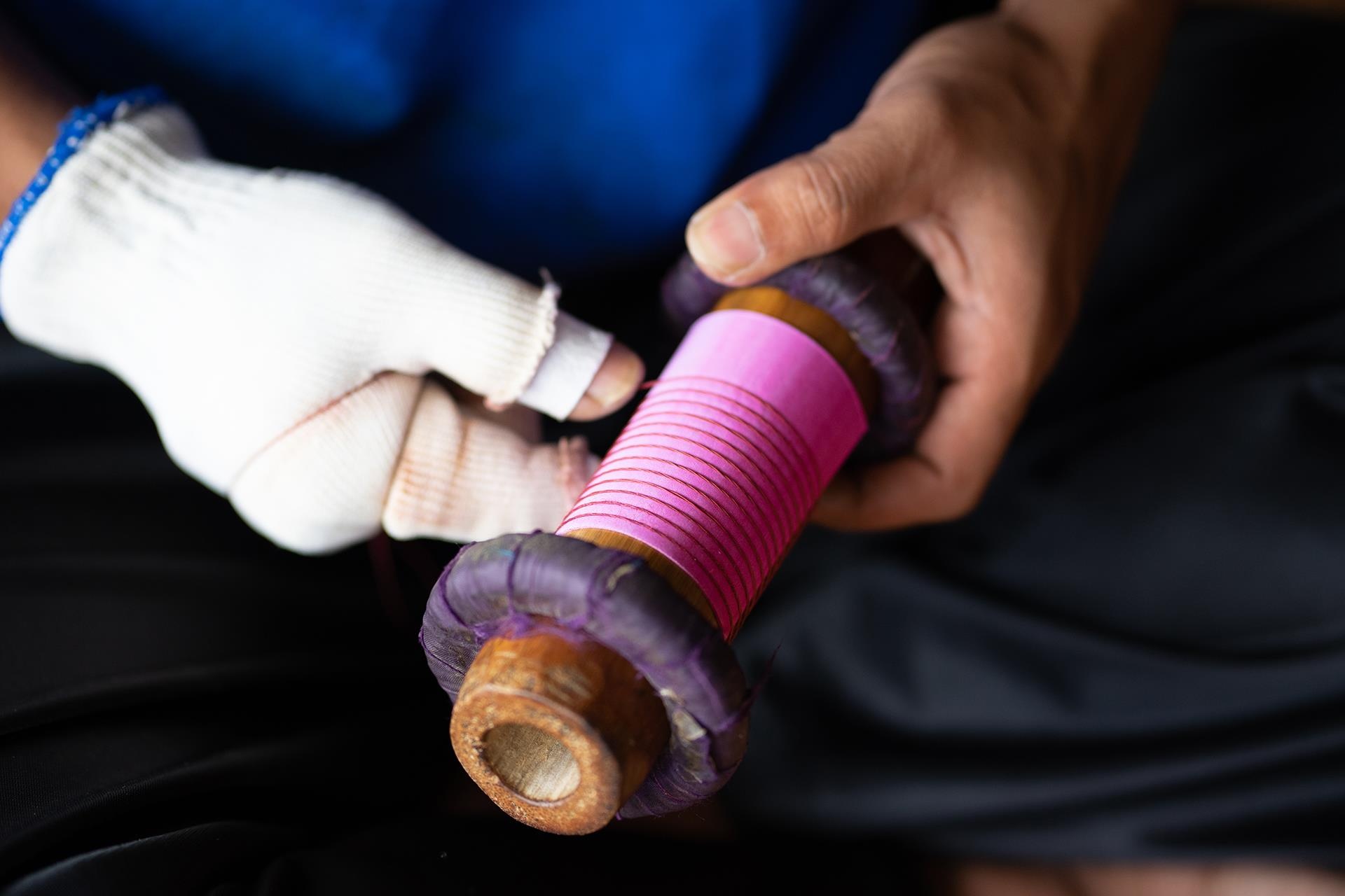 hoa giay Thanh Tien o Hue anh 12