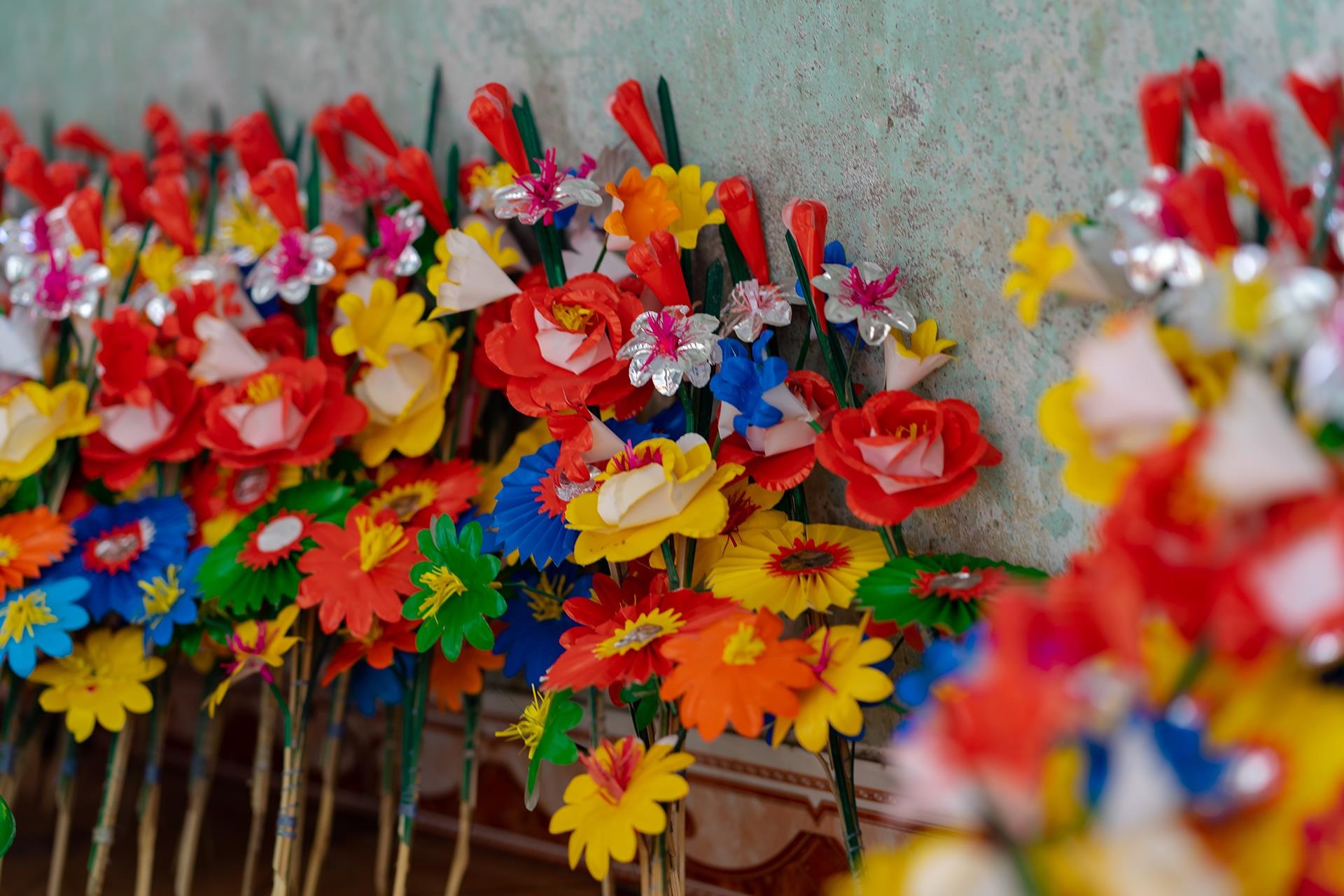 hoa giay Thanh Tien o Hue anh 13