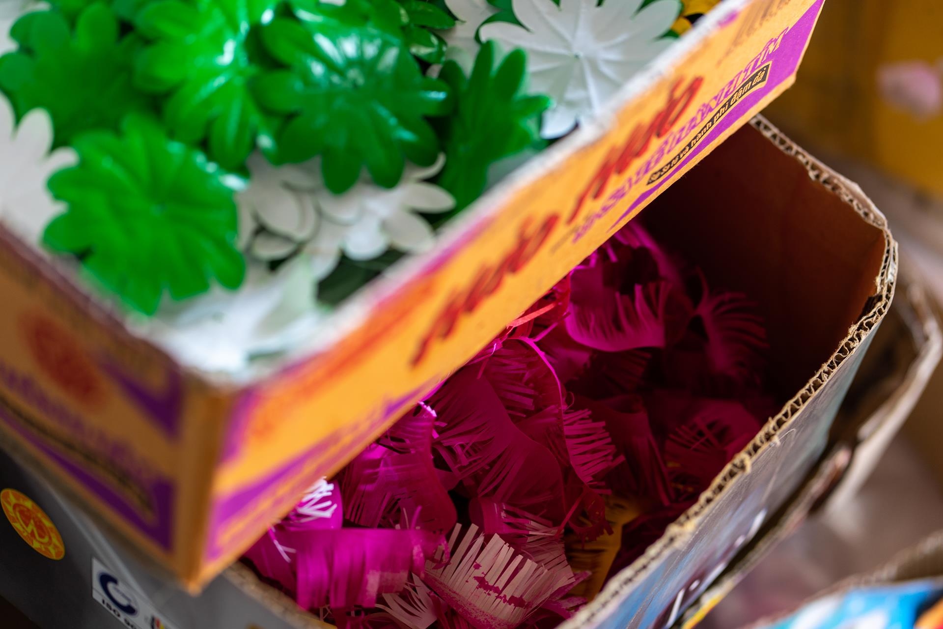 hoa giay Thanh Tien o Hue anh 15