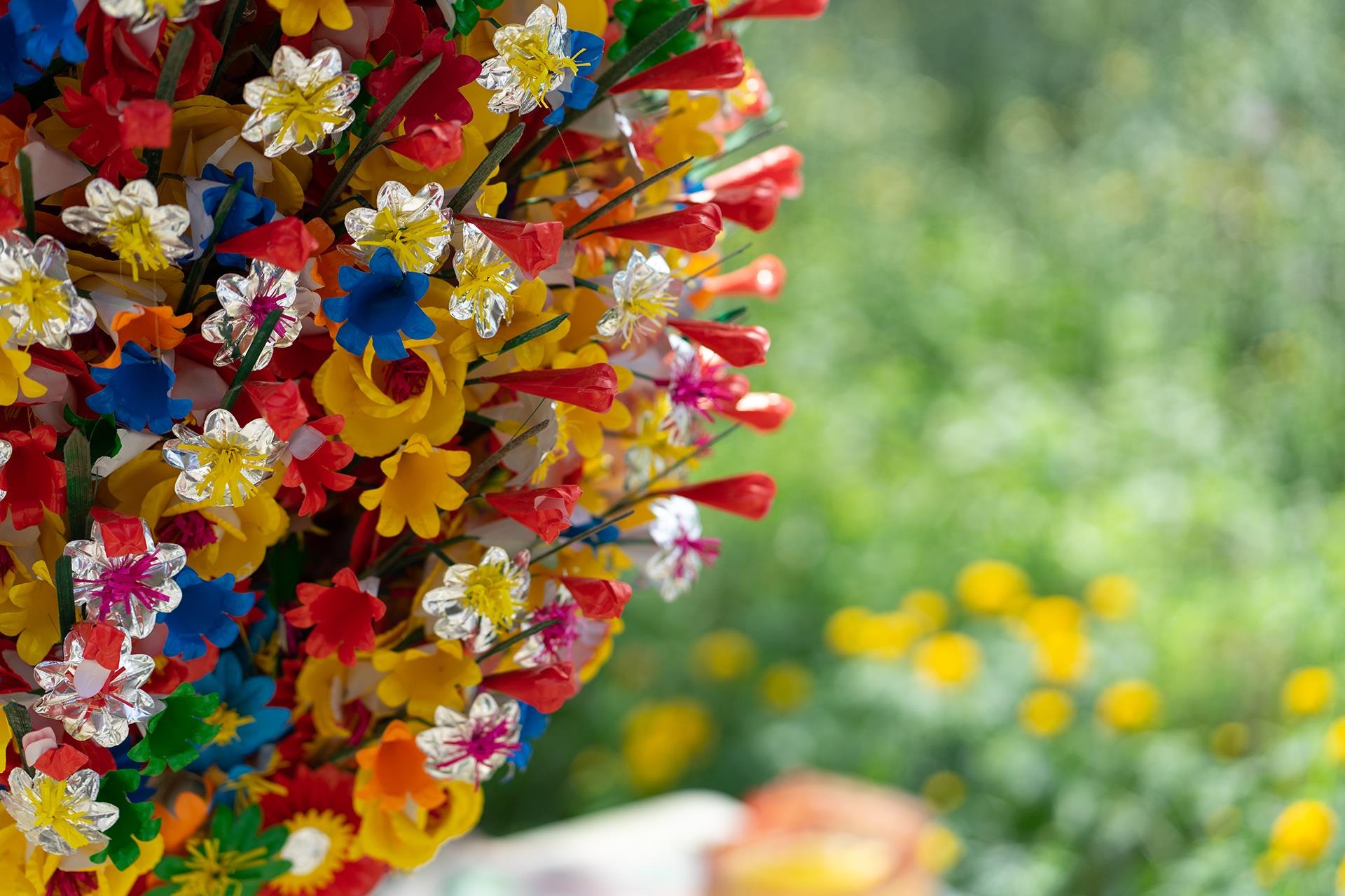 hoa giay Thanh Tien o Hue anh 16