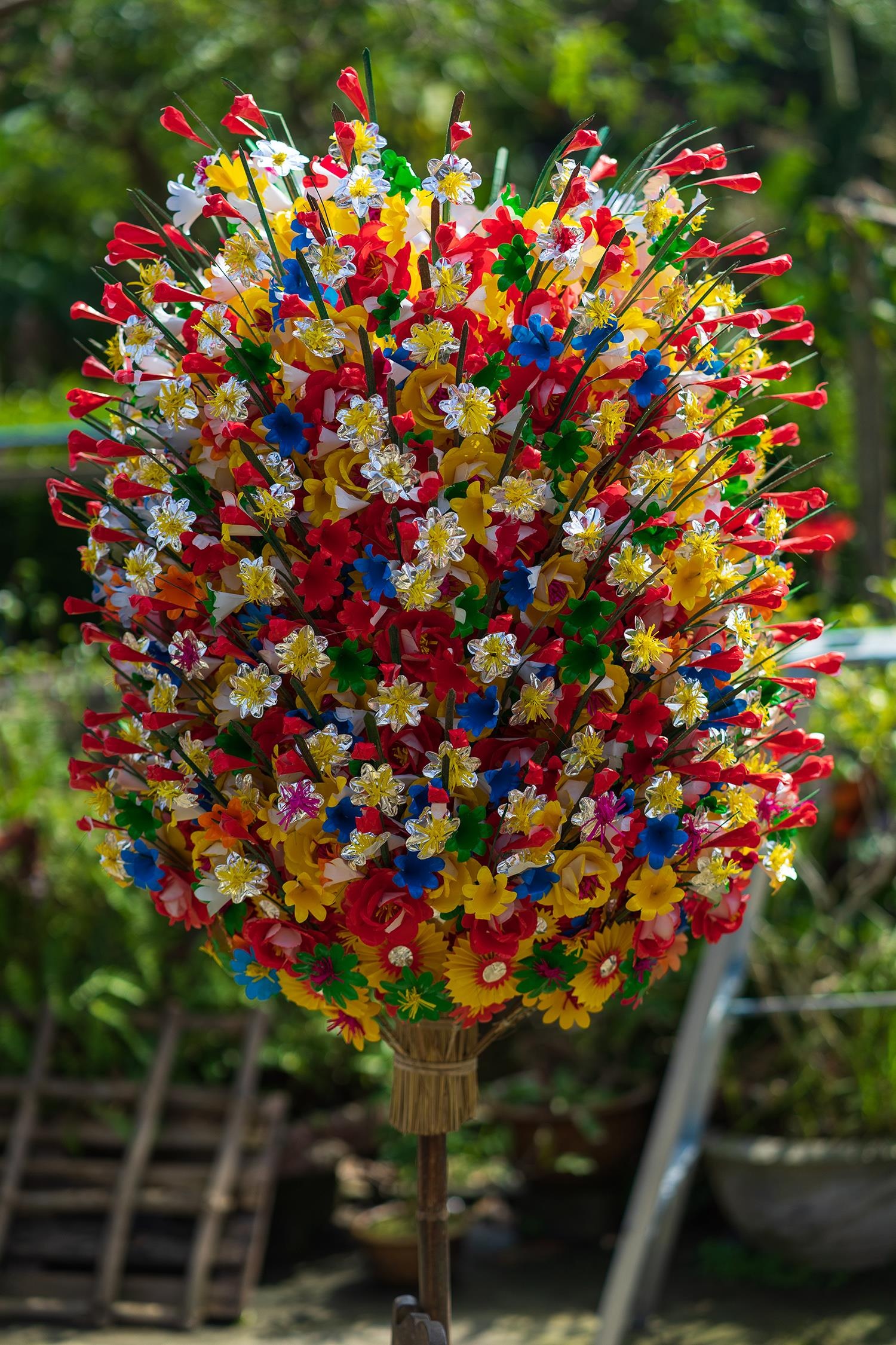 hoa giay Thanh Tien o Hue anh 17