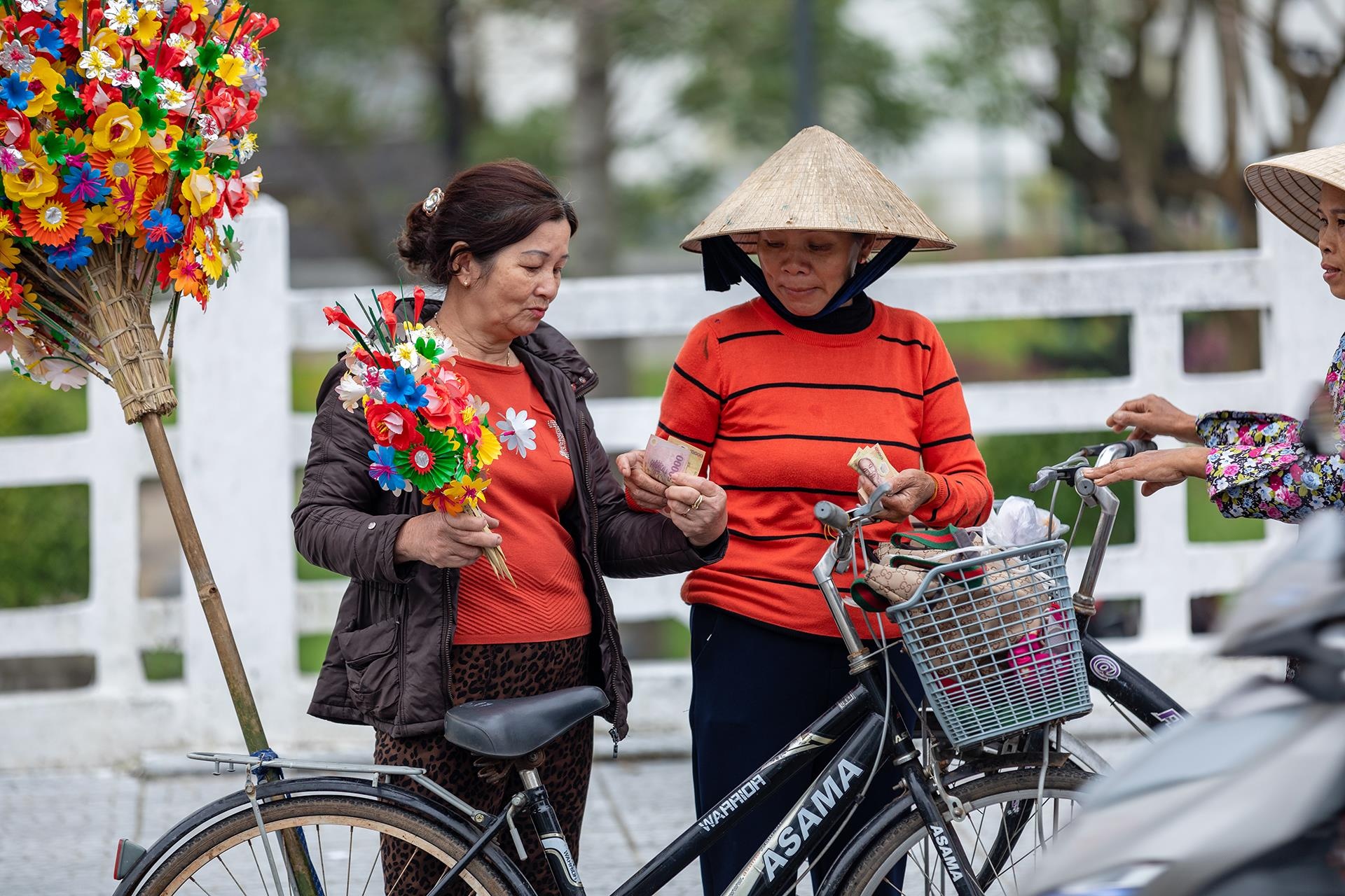 hoa giay Thanh Tien o Hue anh 3