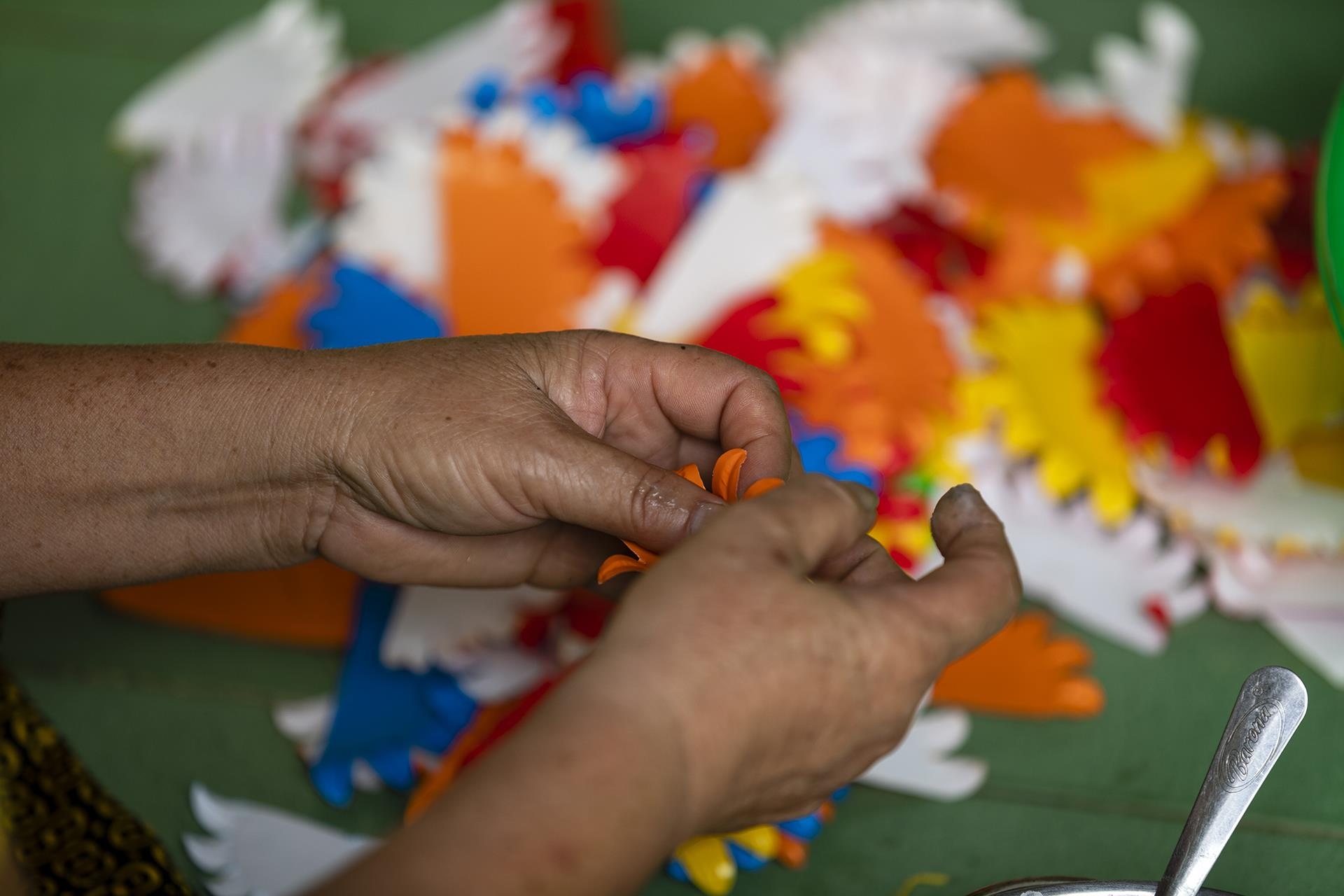 hoa giay Thanh Tien o Hue anh 20