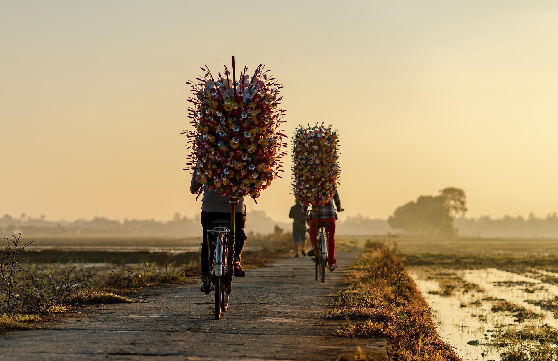 hoa giay Thanh Tien o Hue anh 21