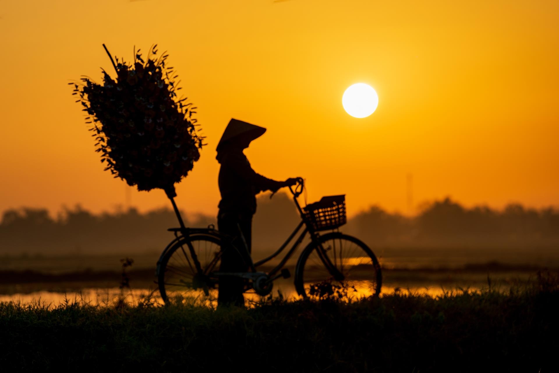 hoa giay Thanh Tien o Hue anh 23