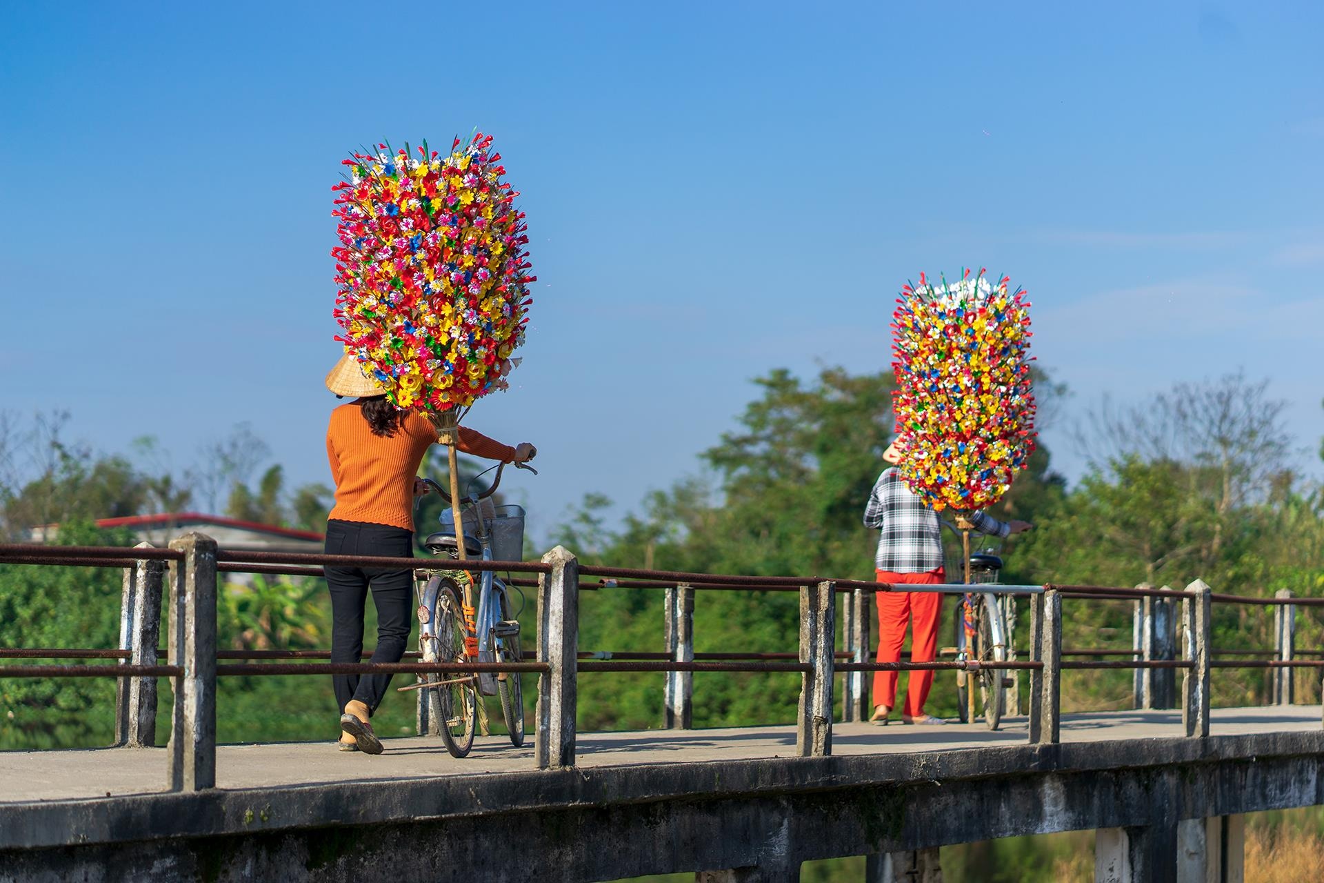 hoa giay Thanh Tien o Hue anh 22