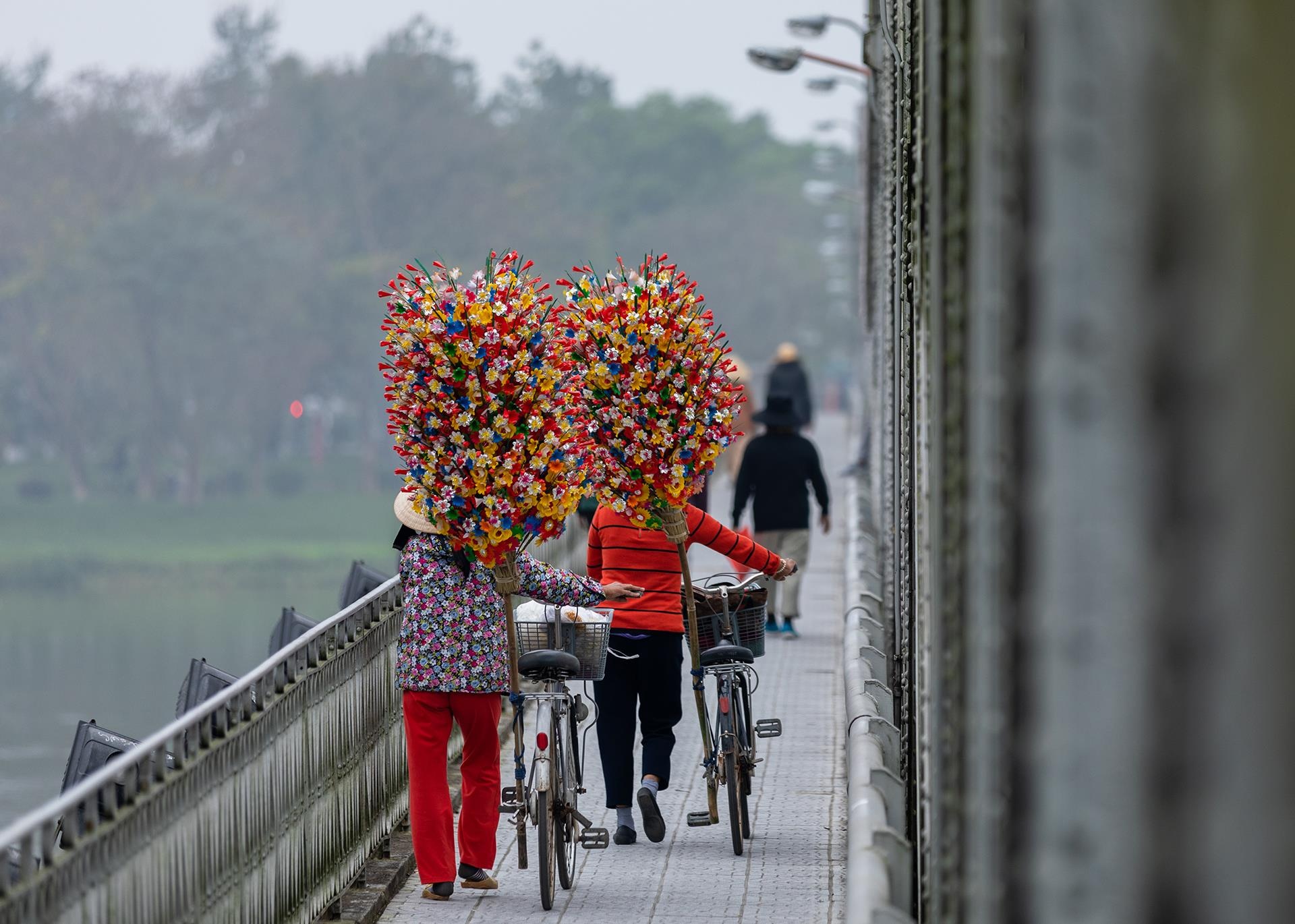hoa giay Thanh Tien o Hue anh 5