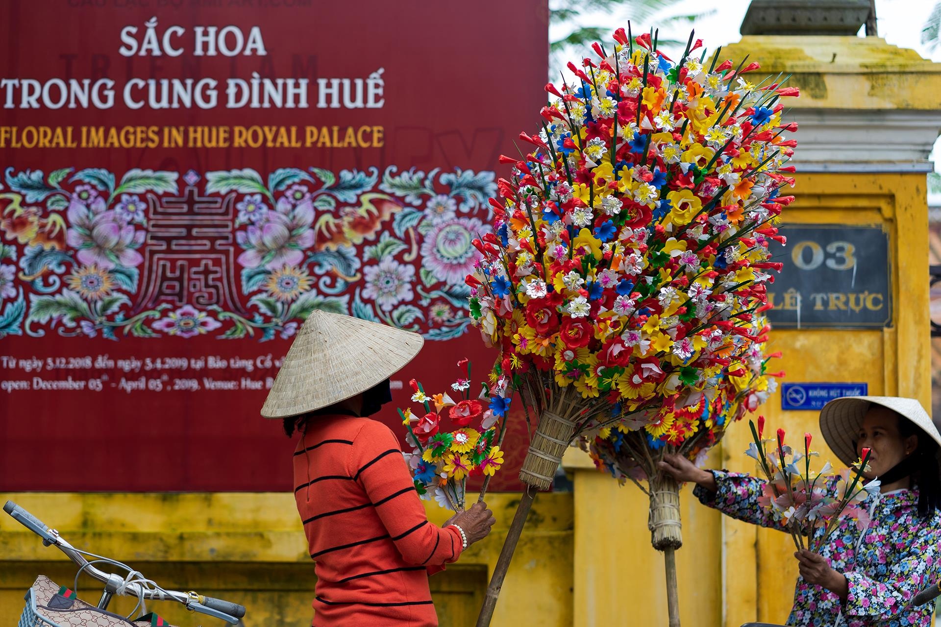 hoa giay Thanh Tien o Hue anh 7