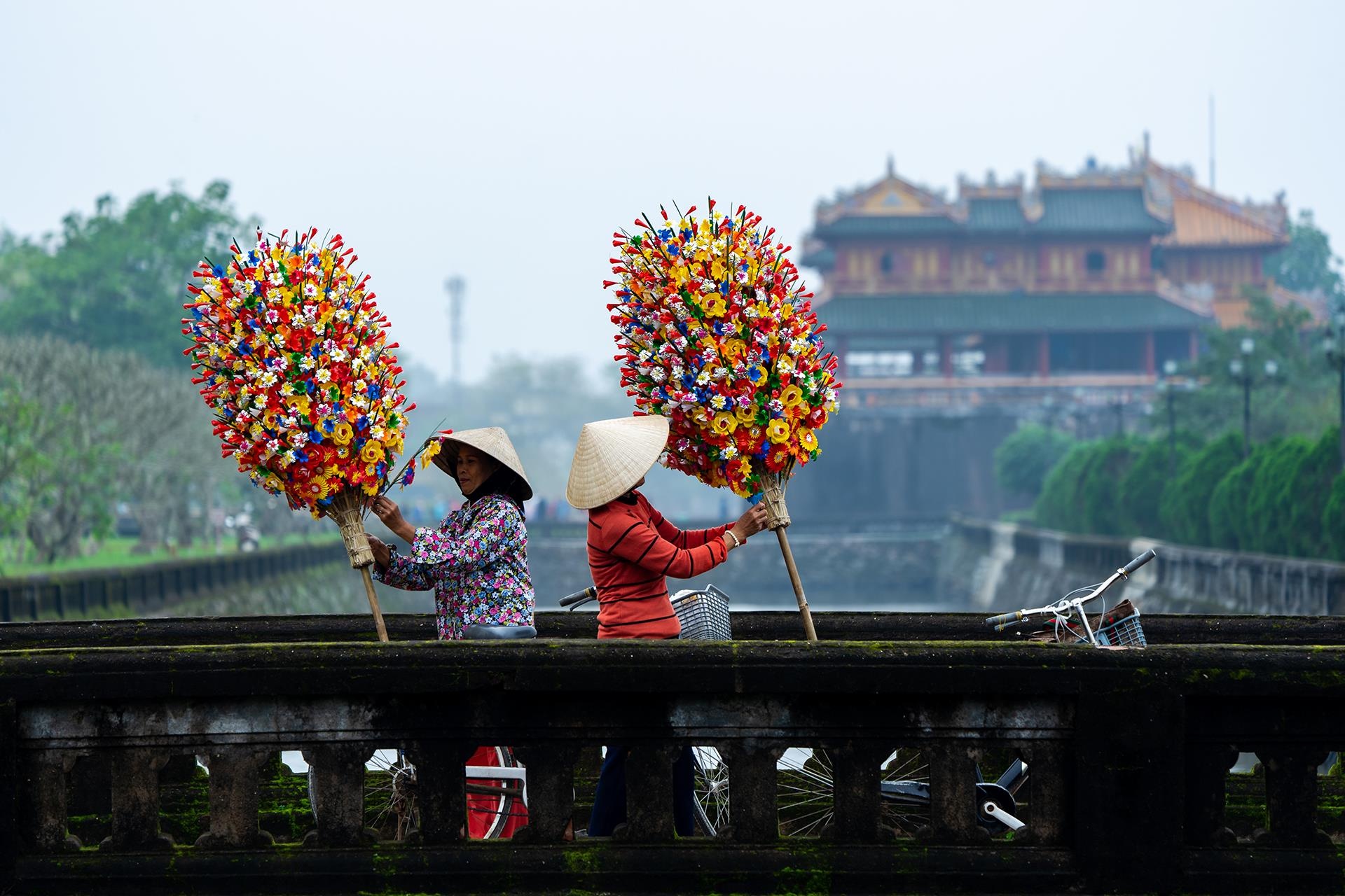 hoa giay Thanh Tien o Hue anh 8