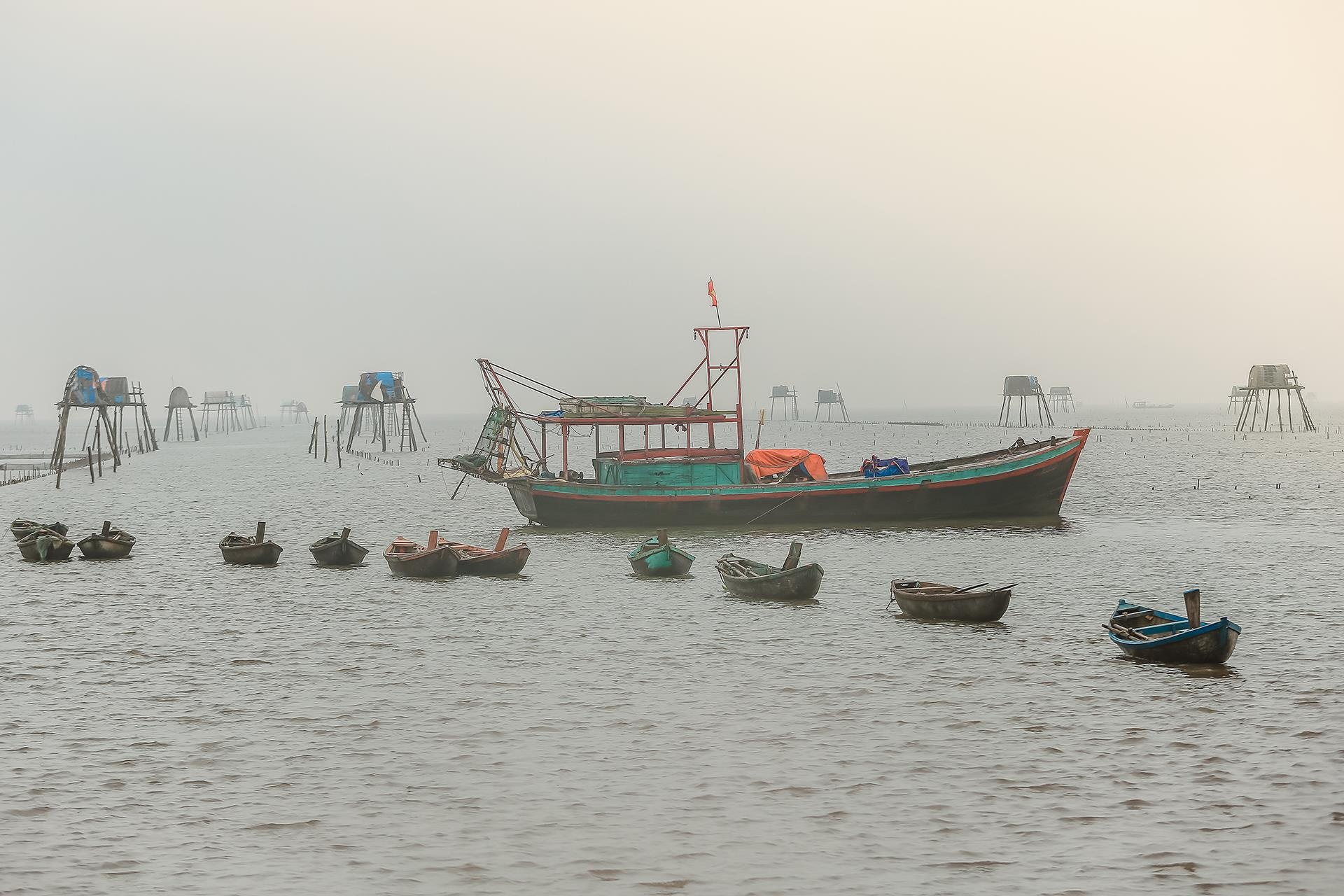 nghề cào ngao ở Thái Bình ảnh 3 nghe cao ngao o Thai Binh anh 3