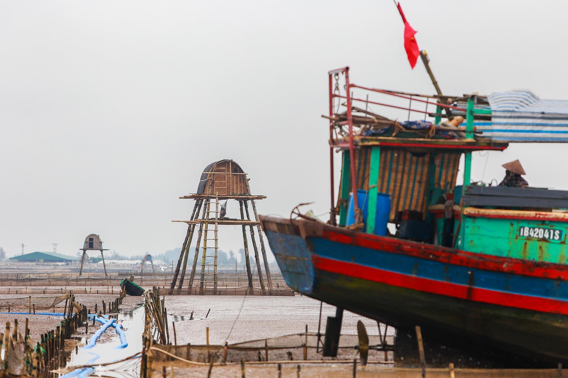 nghề cào ngao ở Thái Bình ảnh 13 nghe cao ngao o Thai Binh anh 13