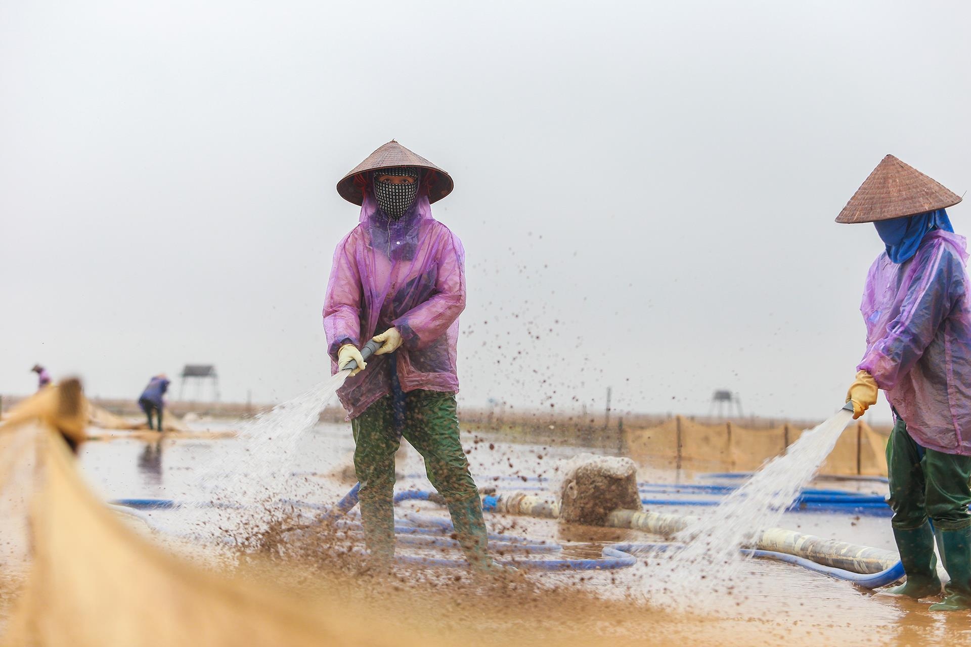 nghề cào ngao ở Thái Bình ảnh 18 nghe cao ngao o Thai Binh anh 18