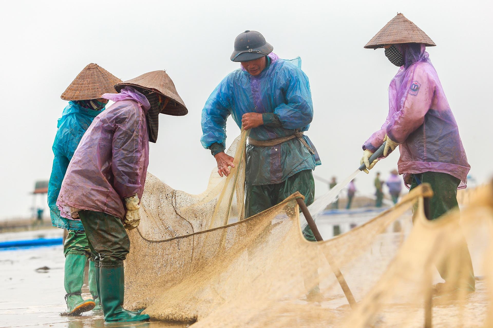 nghề cào ngao ở Thái Bình ảnh 19 nghe cao ngao o Thai Binh anh 19