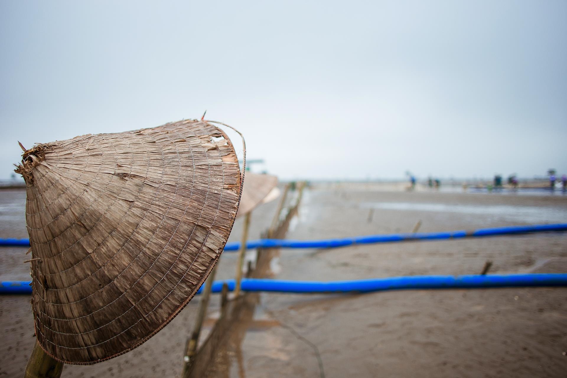 nghề cào ngao ở Thái Bình ảnh 28 nghe cao ngao o Thai Binh anh 28