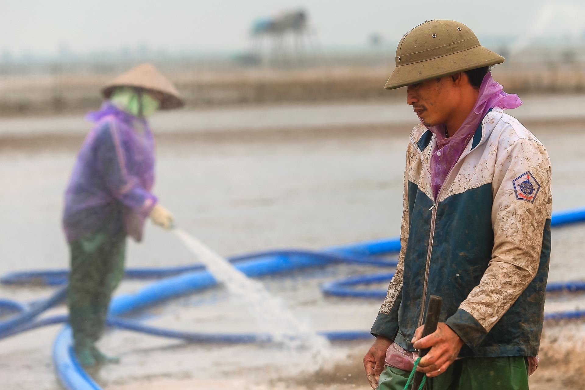 nghề cào ngao ở Thái Bình ảnh 29 nghe cao ngao o Thai Binh anh 29