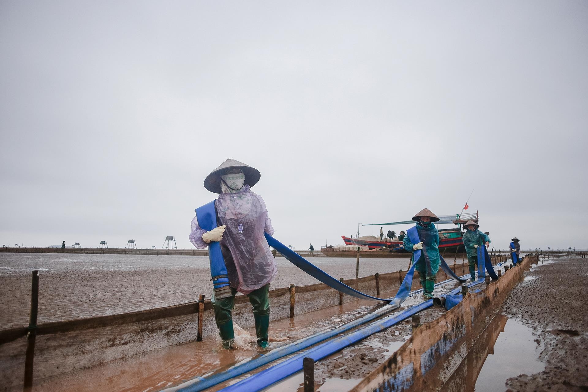 nghề cào ngao ở Thái Bình ảnh 30 nghe cao ngao o Thai Binh anh 30