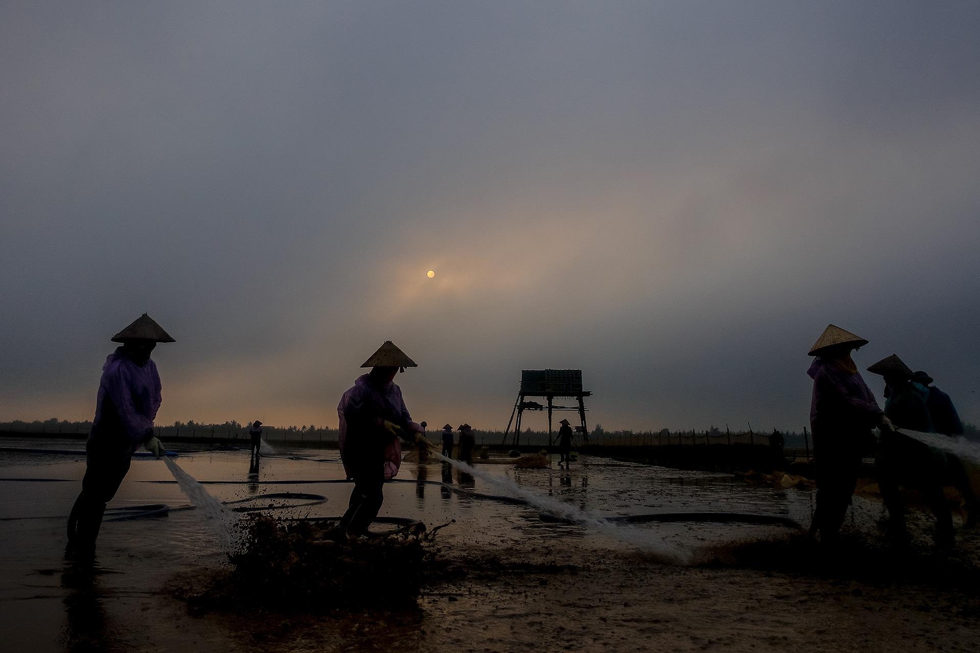 nghề cào ngao ở Thái Bình ảnh 2 nghe cao ngao o Thai Binh anh 2